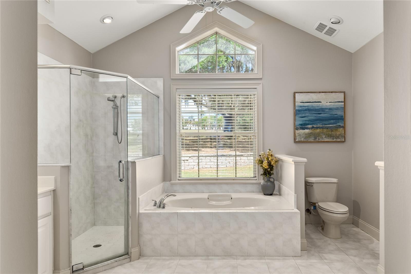 17728 PALM VIEW CIR, MOUNT DORA, FL, 32757