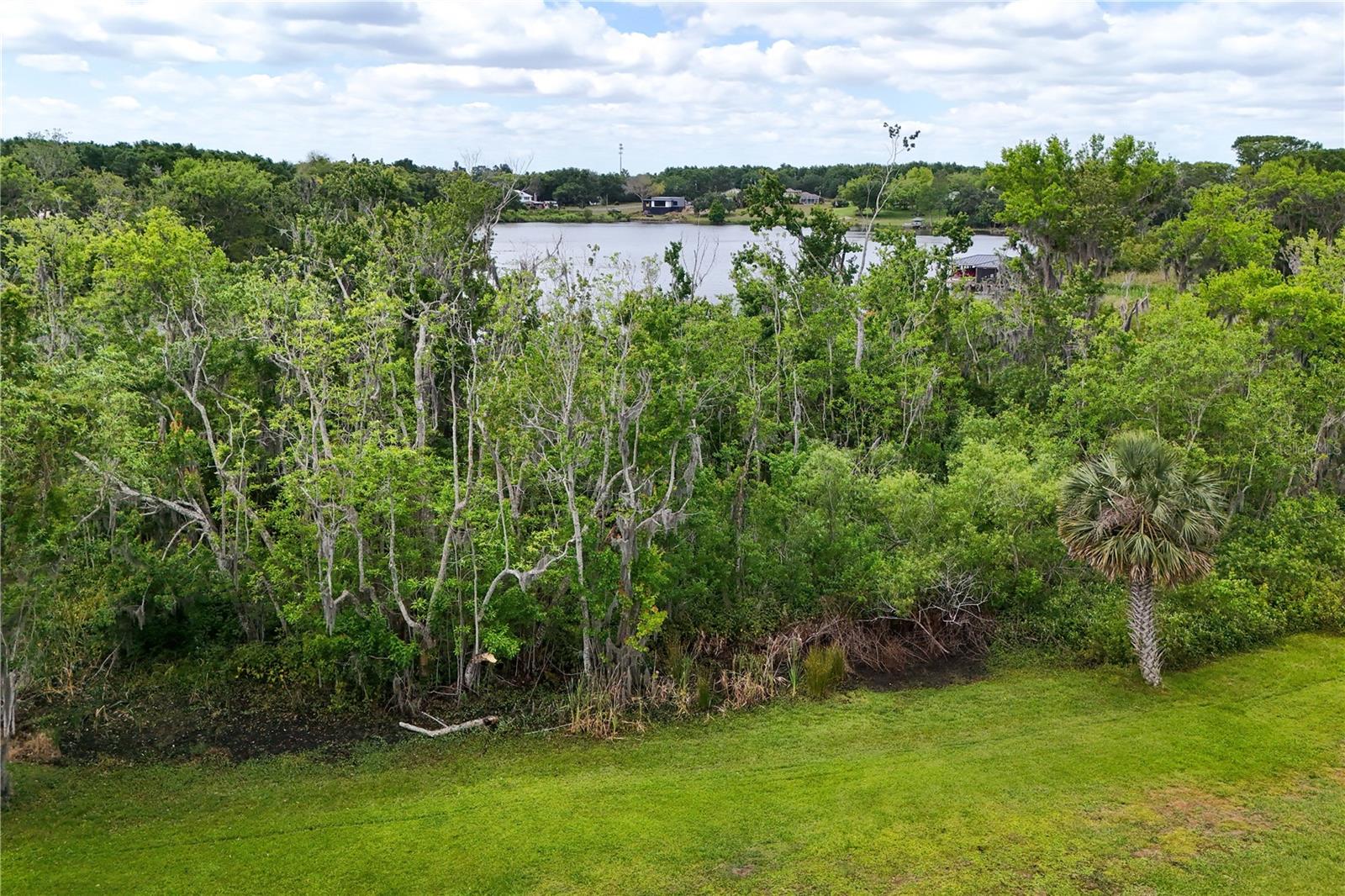 17728 PALM VIEW CIR, MOUNT DORA, FL, 32757