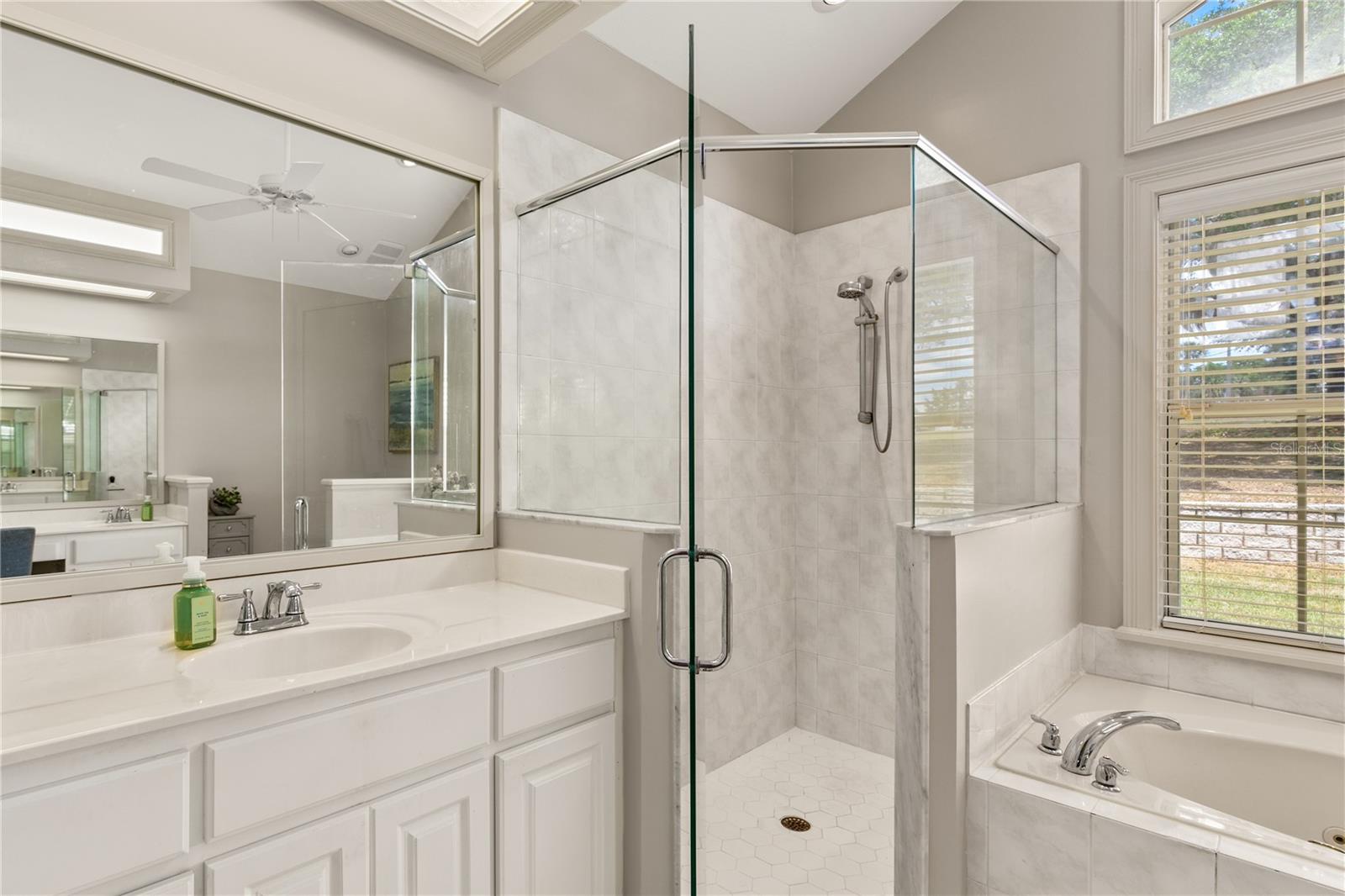 17728 PALM VIEW CIR, MOUNT DORA, FL, 32757