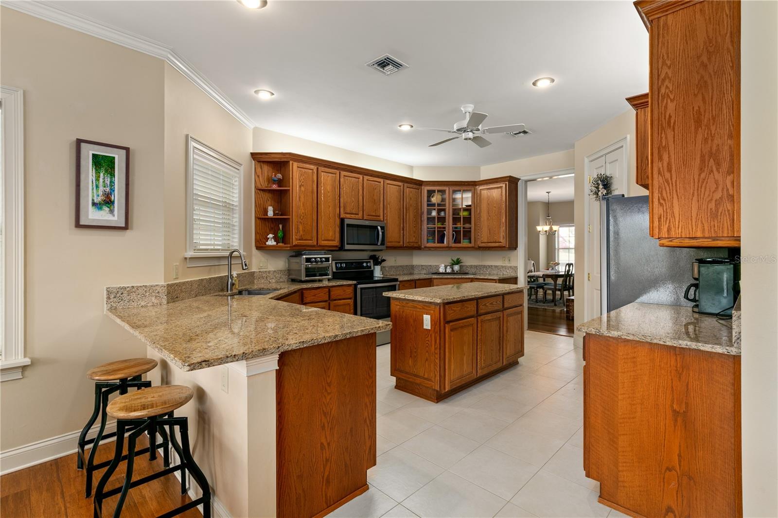 17728 PALM VIEW CIR, MOUNT DORA, FL, 32757