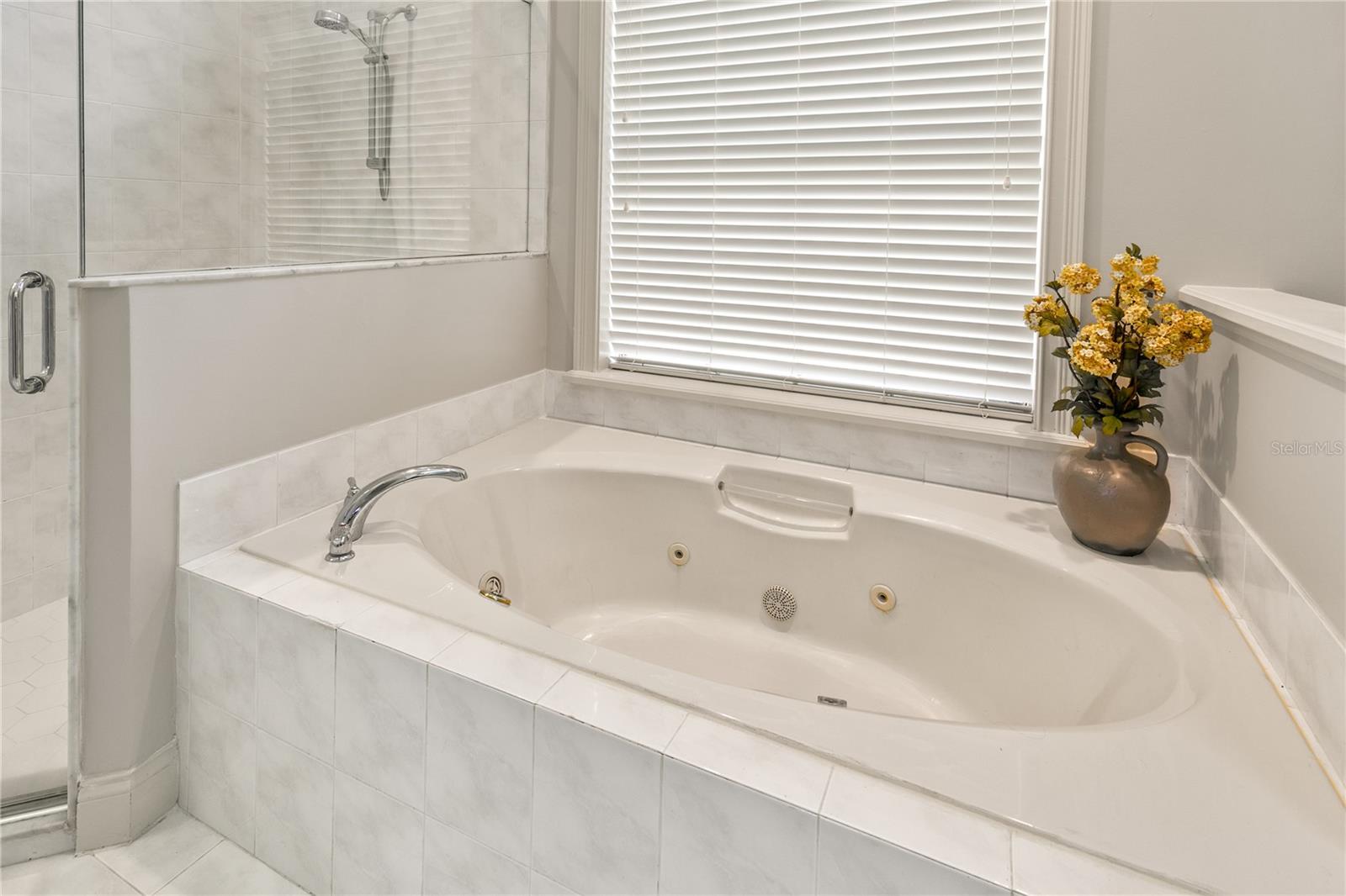 17728 PALM VIEW CIR, MOUNT DORA, FL, 32757