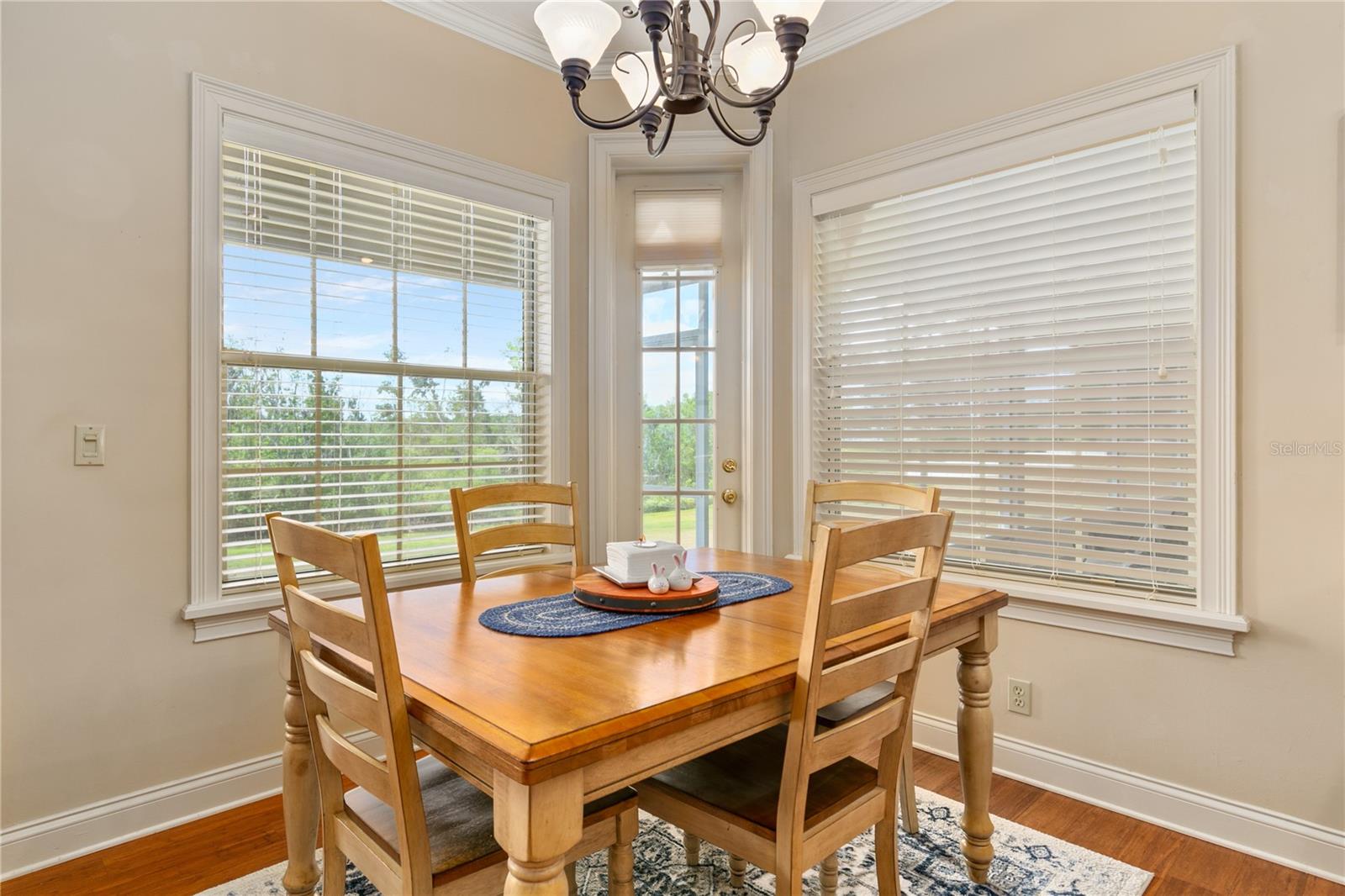 17728 PALM VIEW CIR, MOUNT DORA, FL, 32757