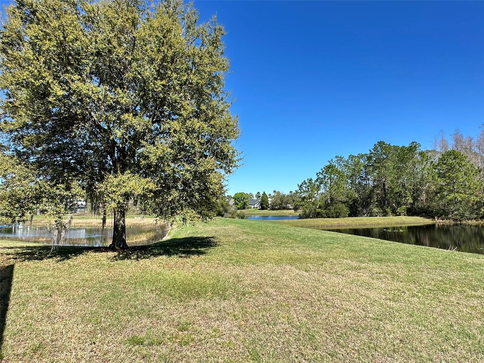 8120 TURKEY HILL CT, TAMPA, FL, 33647