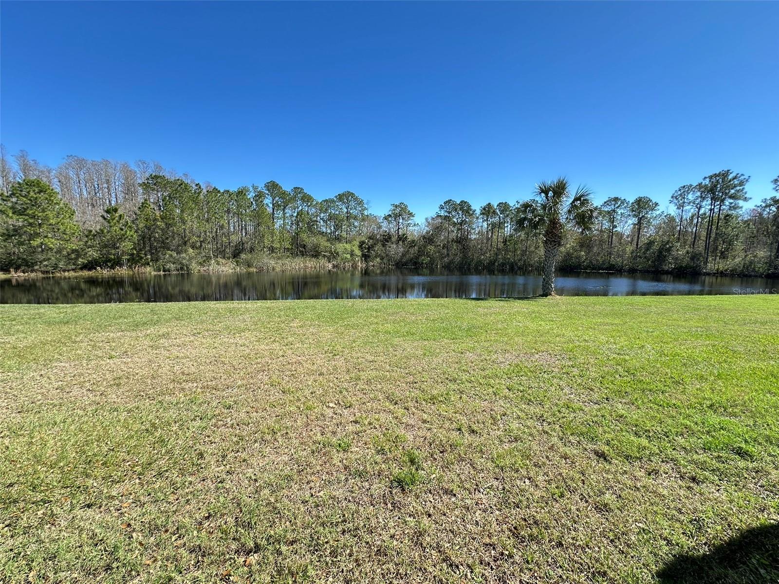 8120 TURKEY HILL CT, TAMPA, FL, 33647