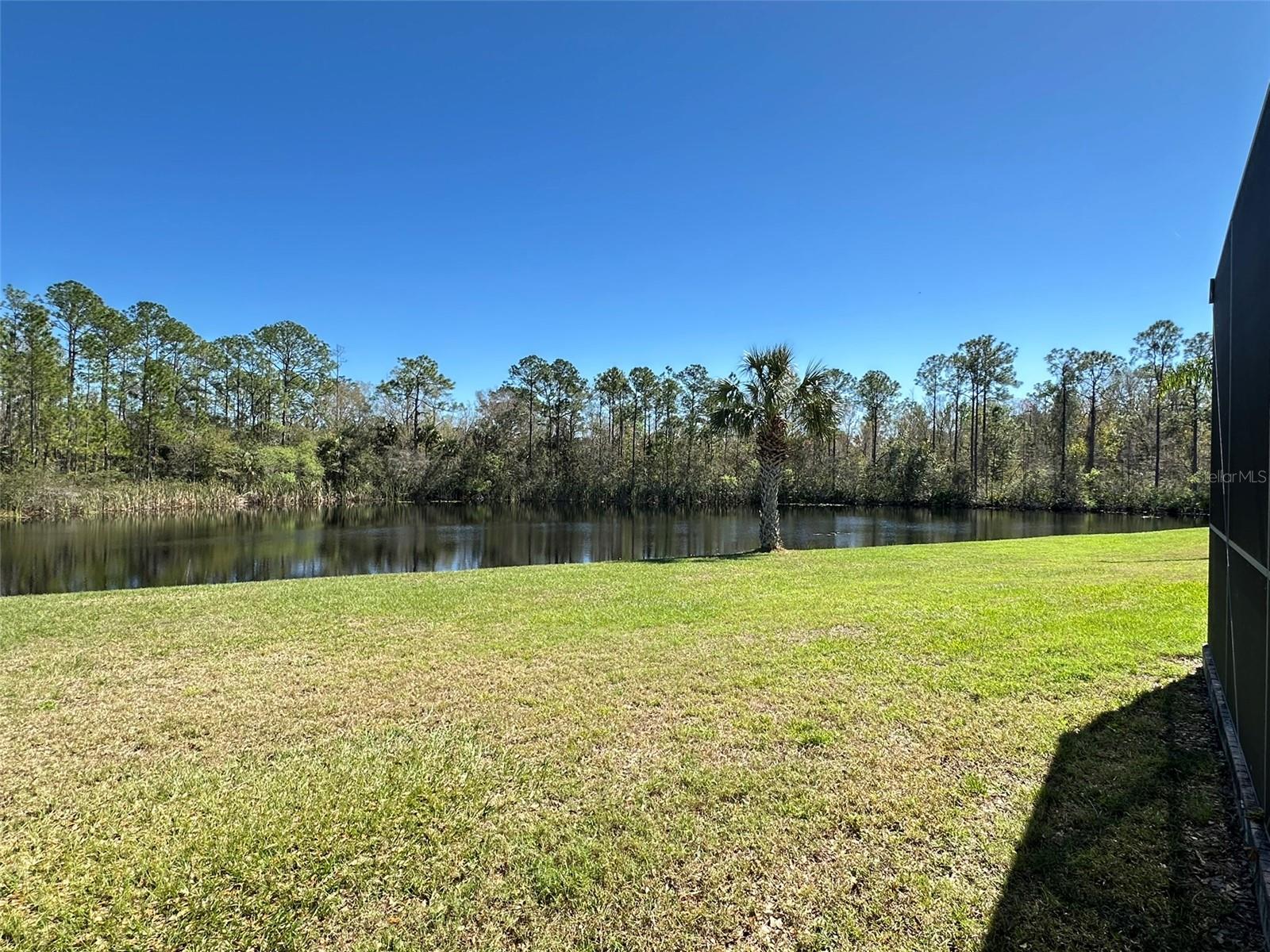 8120 TURKEY HILL CT, TAMPA, FL, 33647