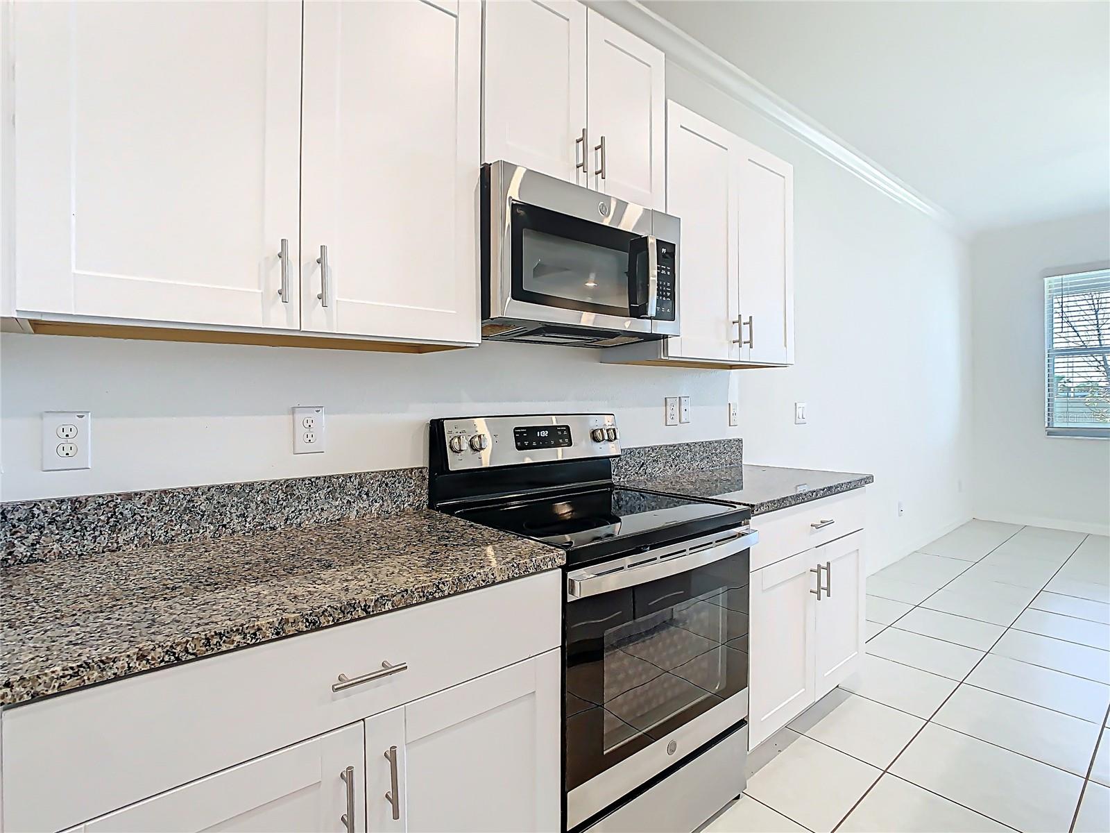 31771 BLUE PASSING LOOP, WESLEY CHAPEL, FL, 33545