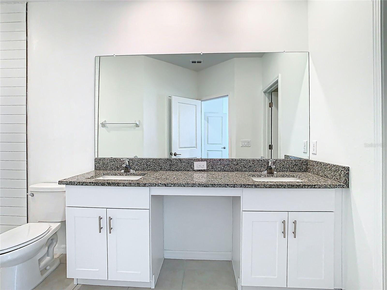 31771 BLUE PASSING LOOP, WESLEY CHAPEL, FL, 33545