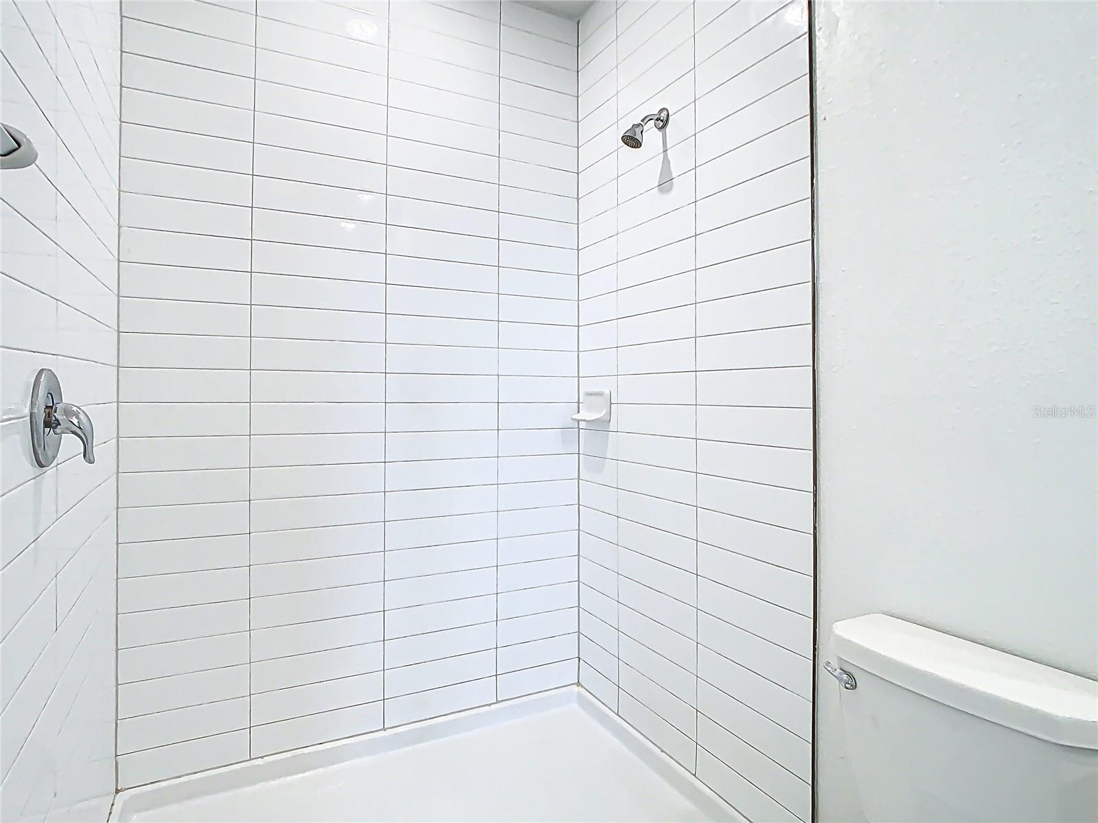 31771 BLUE PASSING LOOP, WESLEY CHAPEL, FL, 33545