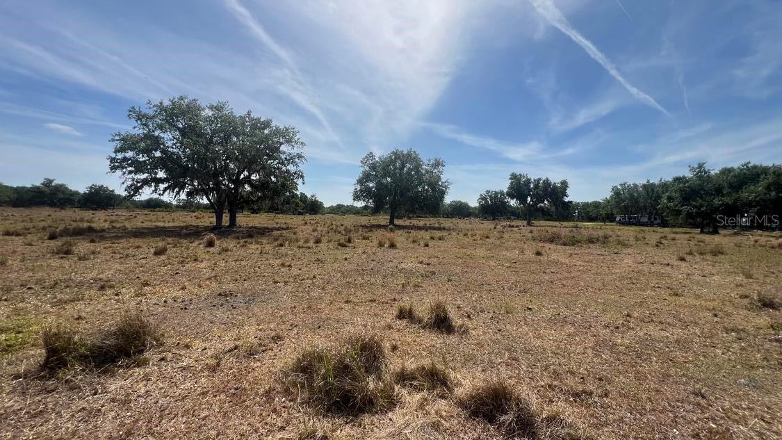 45855 CLAY GULLY RD, MYAKKA CITY, FL, 34251