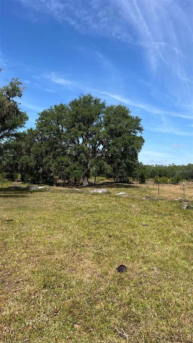 45855 CLAY GULLY RD, MYAKKA CITY, FL, 34251