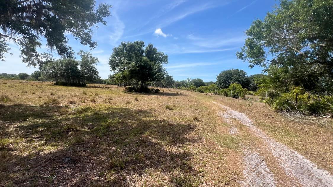 45855 CLAY GULLY RD, MYAKKA CITY, FL, 34251