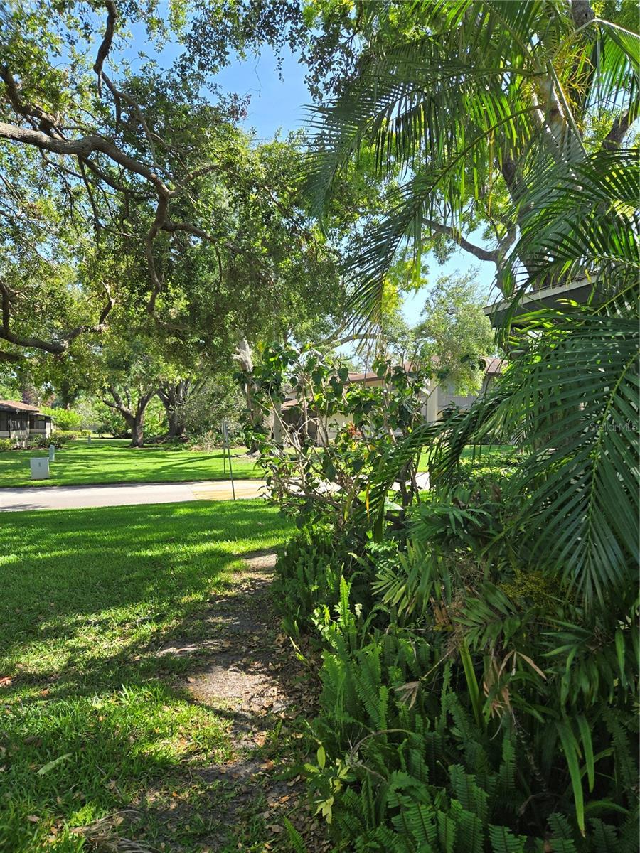 2906 LICHEN LN #A, CLEARWATER, FL, 33760