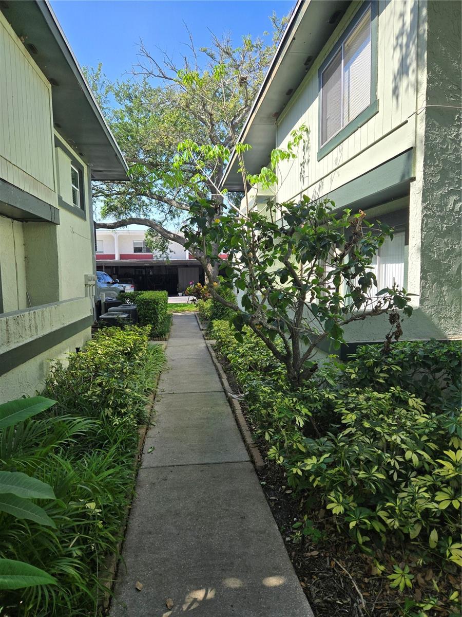 2906 LICHEN LN #A, CLEARWATER, FL, 33760