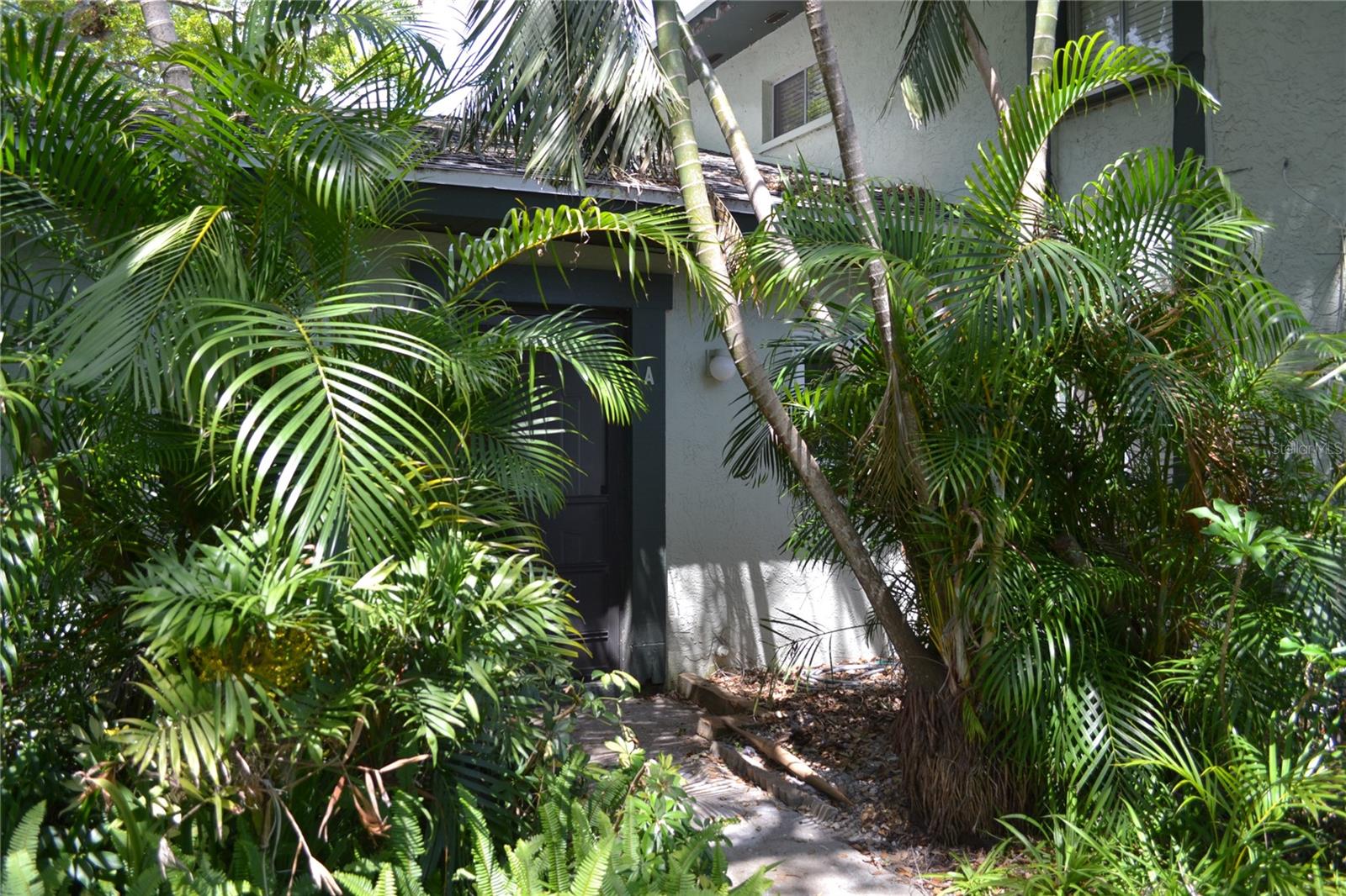 2906 LICHEN LN #A, CLEARWATER, FL, 33760