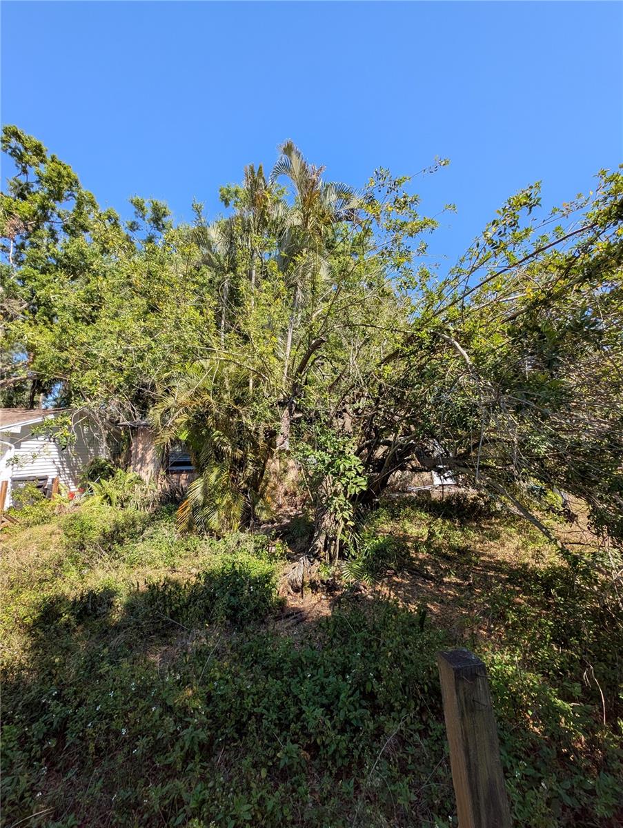 6901 33RD ST N, ST PETERSBURG, FL, 33702