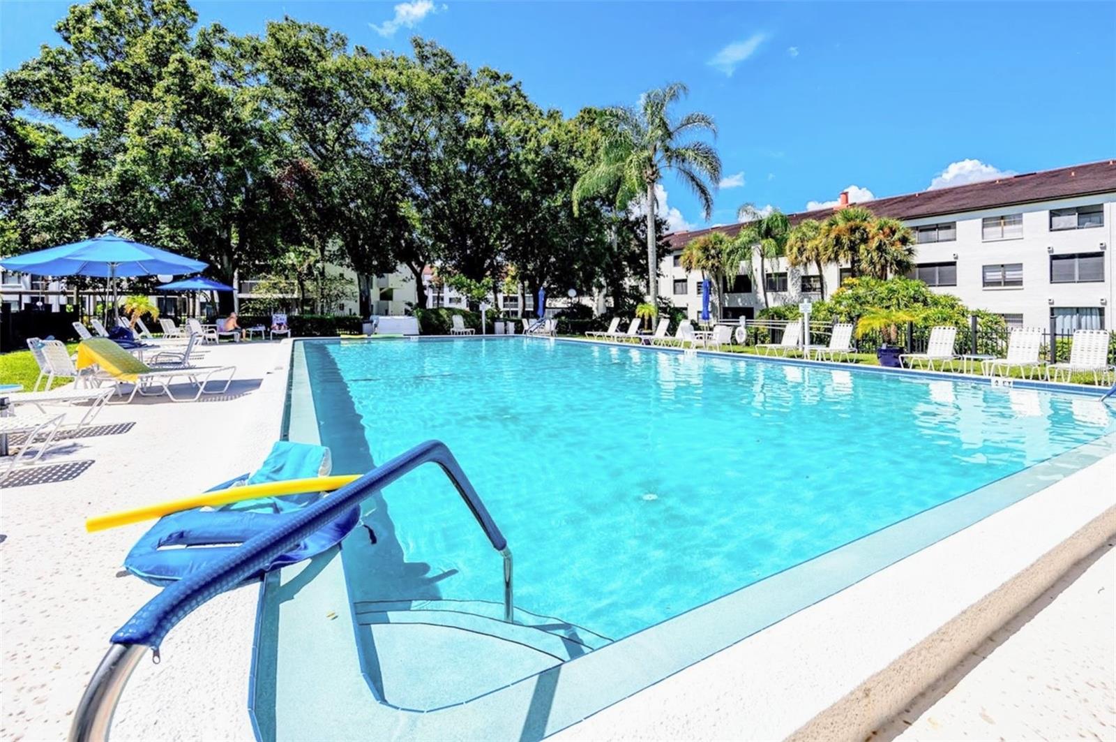 2593 COUNTRYSIDE BLVD #7204, CLEARWATER, FL, 33761