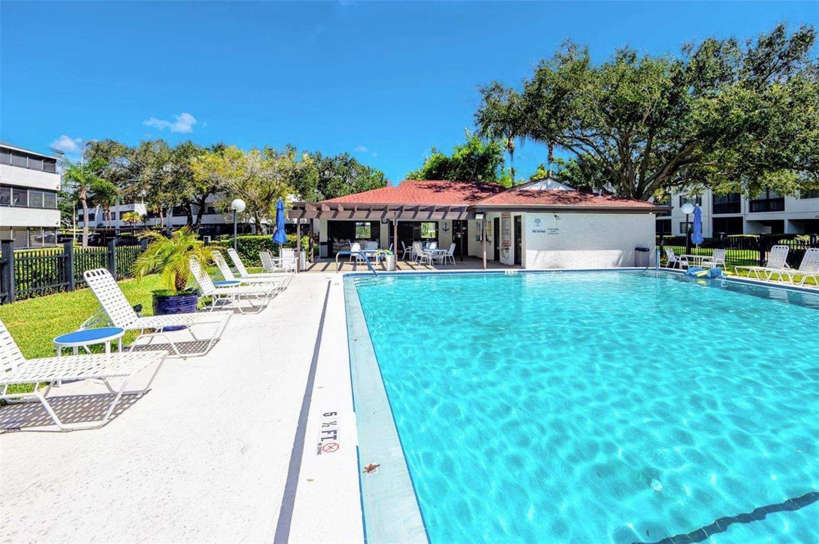 2593 COUNTRYSIDE BLVD #7204, CLEARWATER, FL, 33761