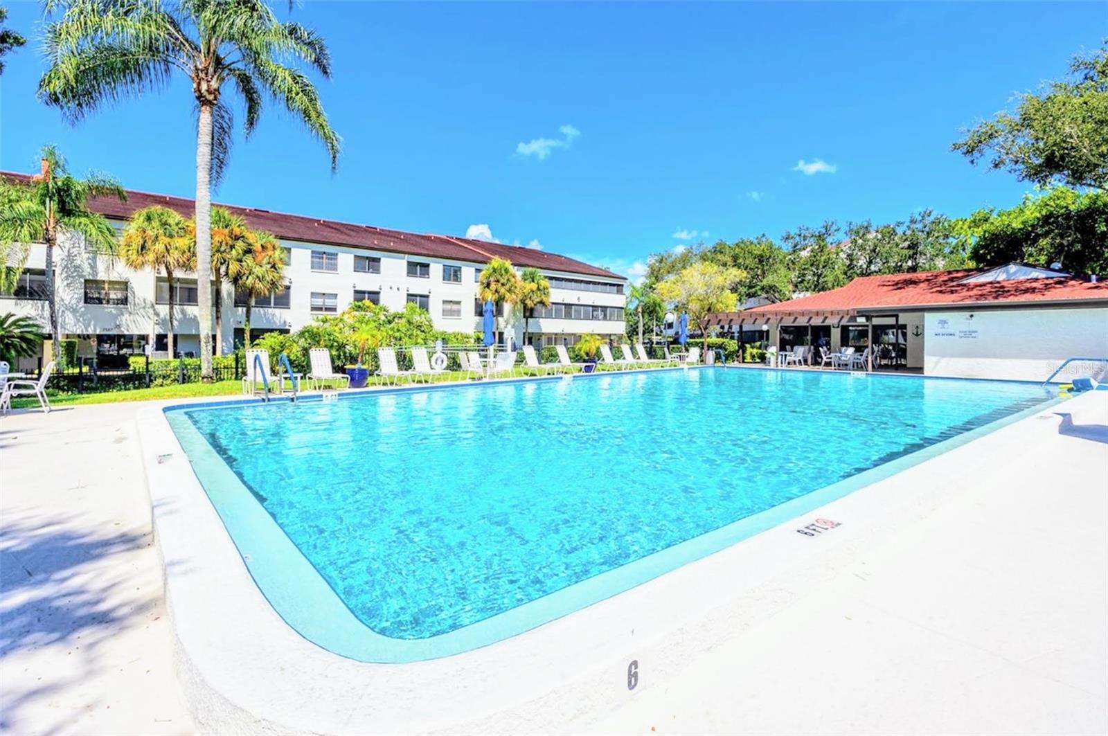 2593 COUNTRYSIDE BLVD #7204, CLEARWATER, FL, 33761