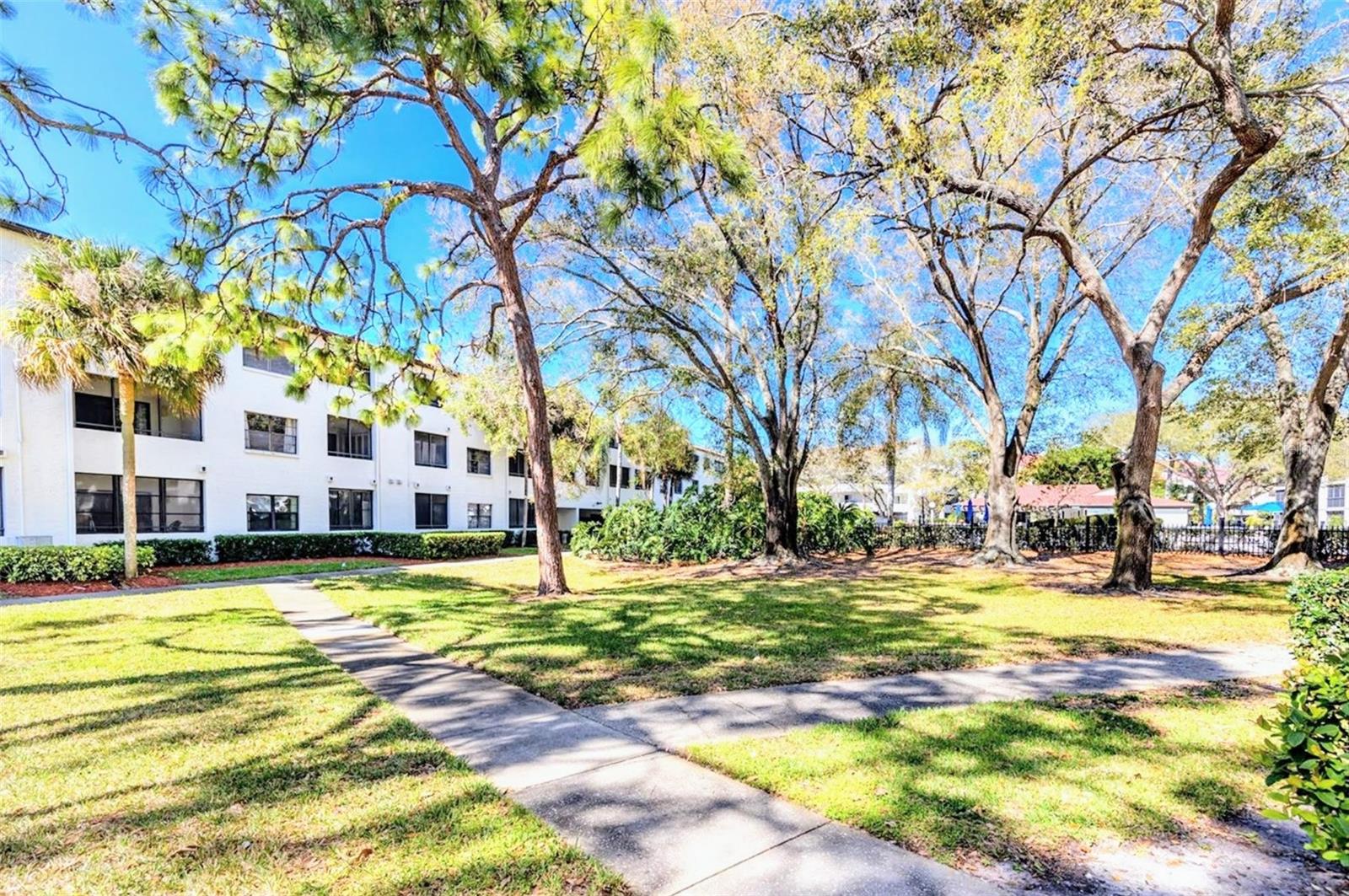 2593 COUNTRYSIDE BLVD #7204, CLEARWATER, FL, 33761
