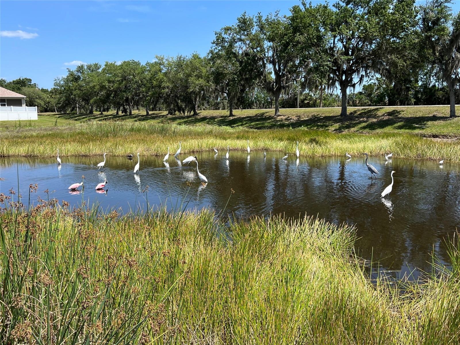 9017 PROVINCE ST, SARASOTA, FL, 34240