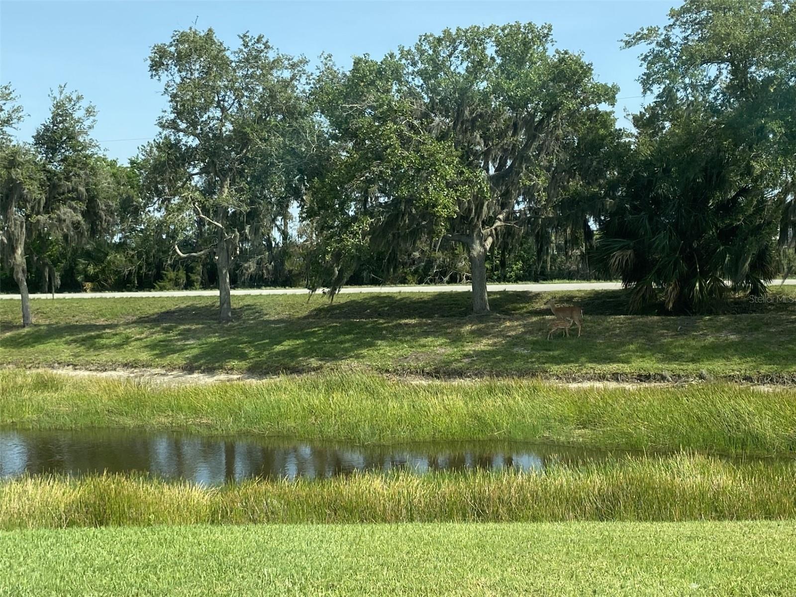 9017 PROVINCE ST, SARASOTA, FL, 34240