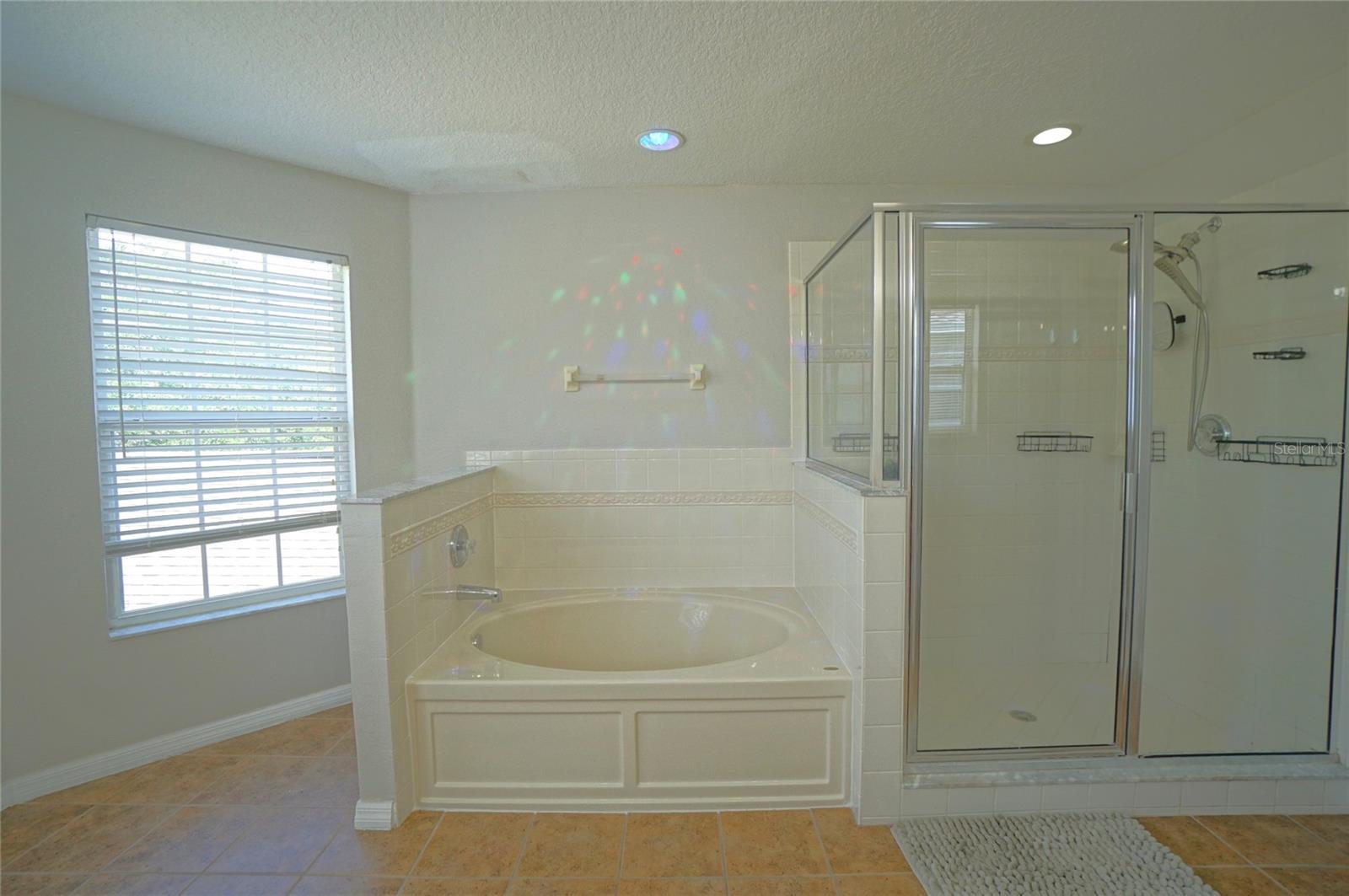 10537 CORAL KEY AVE, TAMPA, FL, 33647