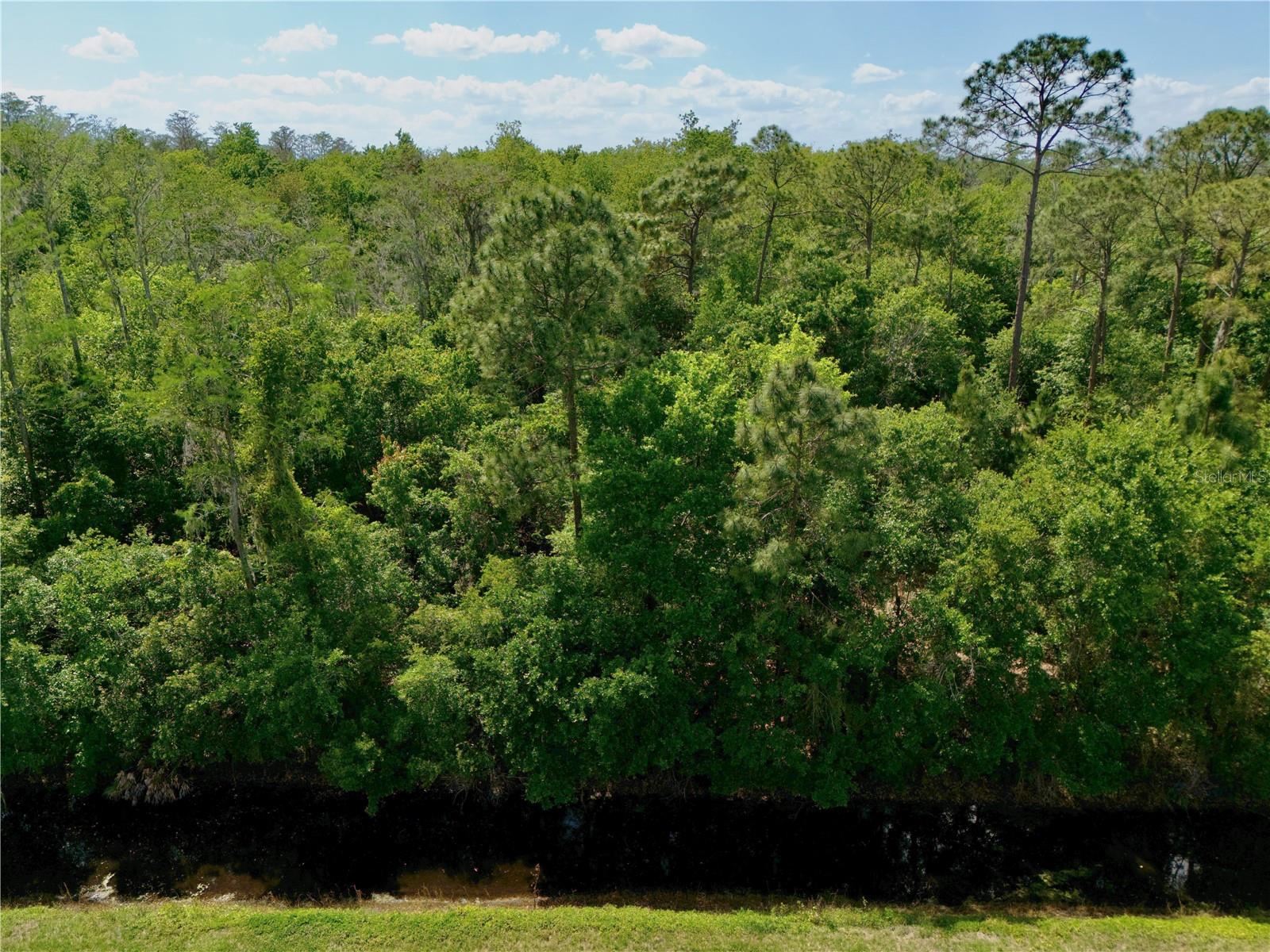 HICKORY TREE ROAD, ST CLOUD, FL, 34772