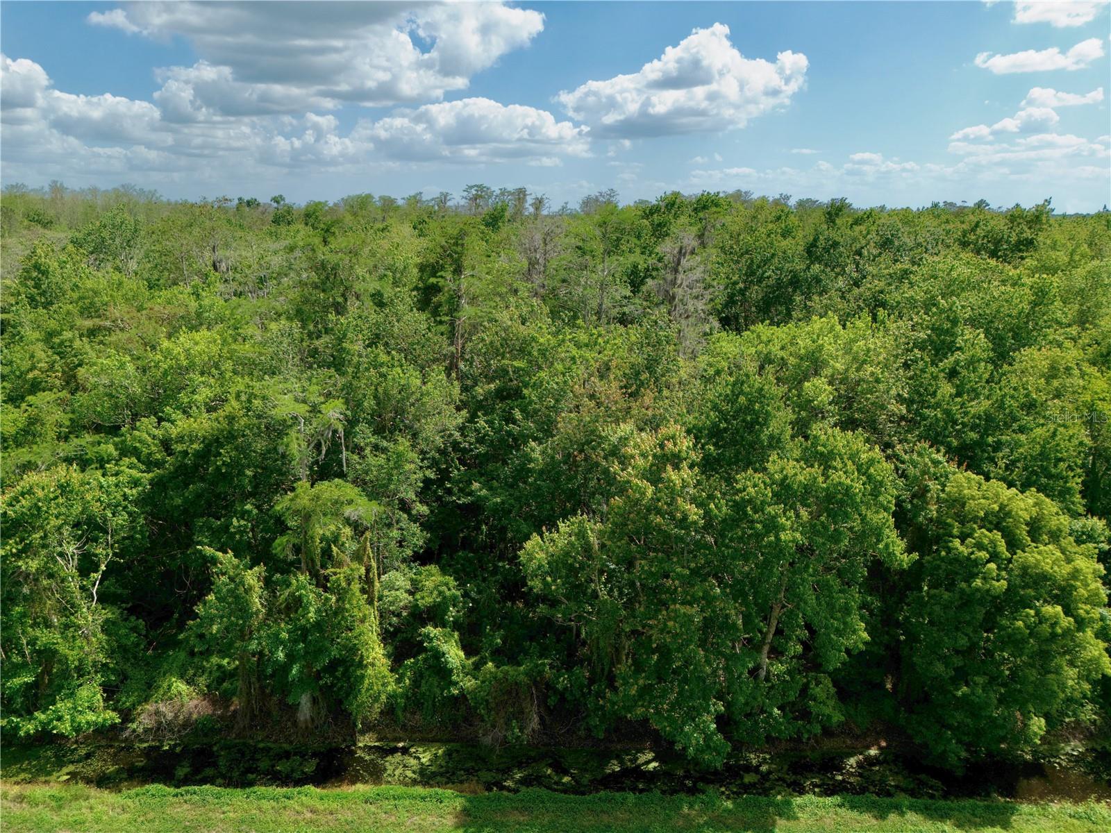 HICKORY TREE ROAD, ST CLOUD, FL, 34772