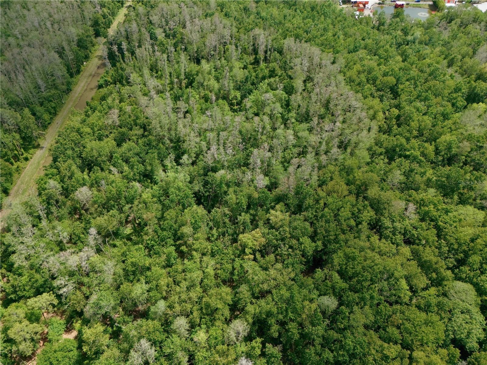 HICKORY TREE ROAD, ST CLOUD, FL, 34772