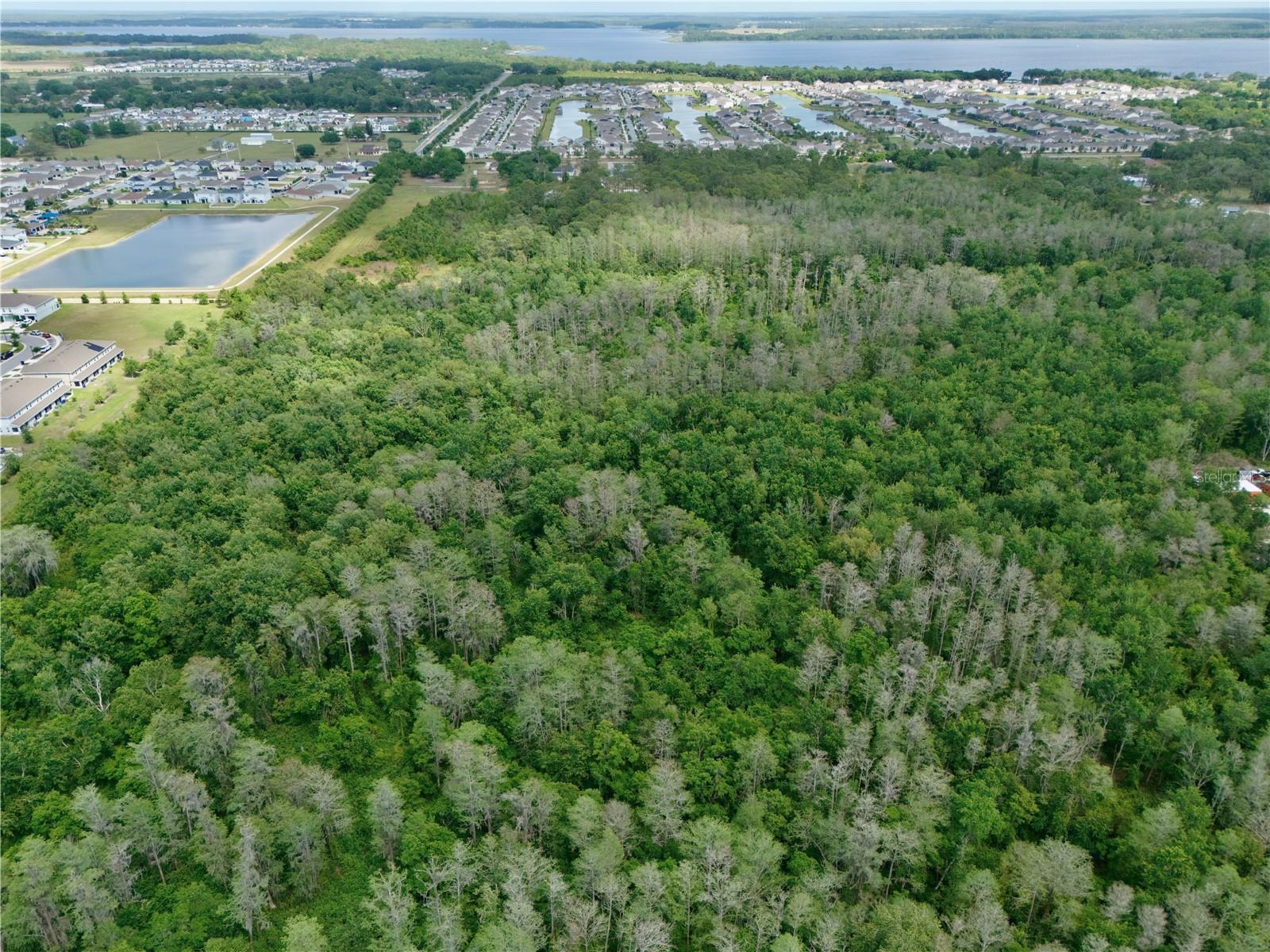 HICKORY TREE ROAD, ST CLOUD, FL, 34772