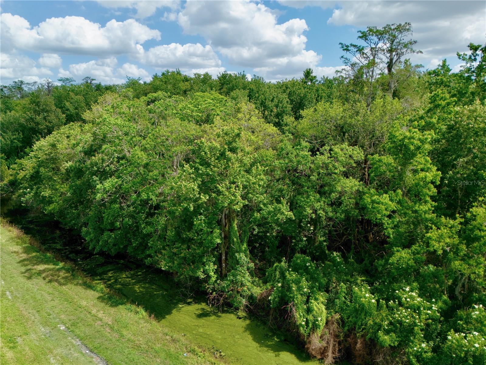 HICKORY TREE ROAD, ST CLOUD, FL, 34772