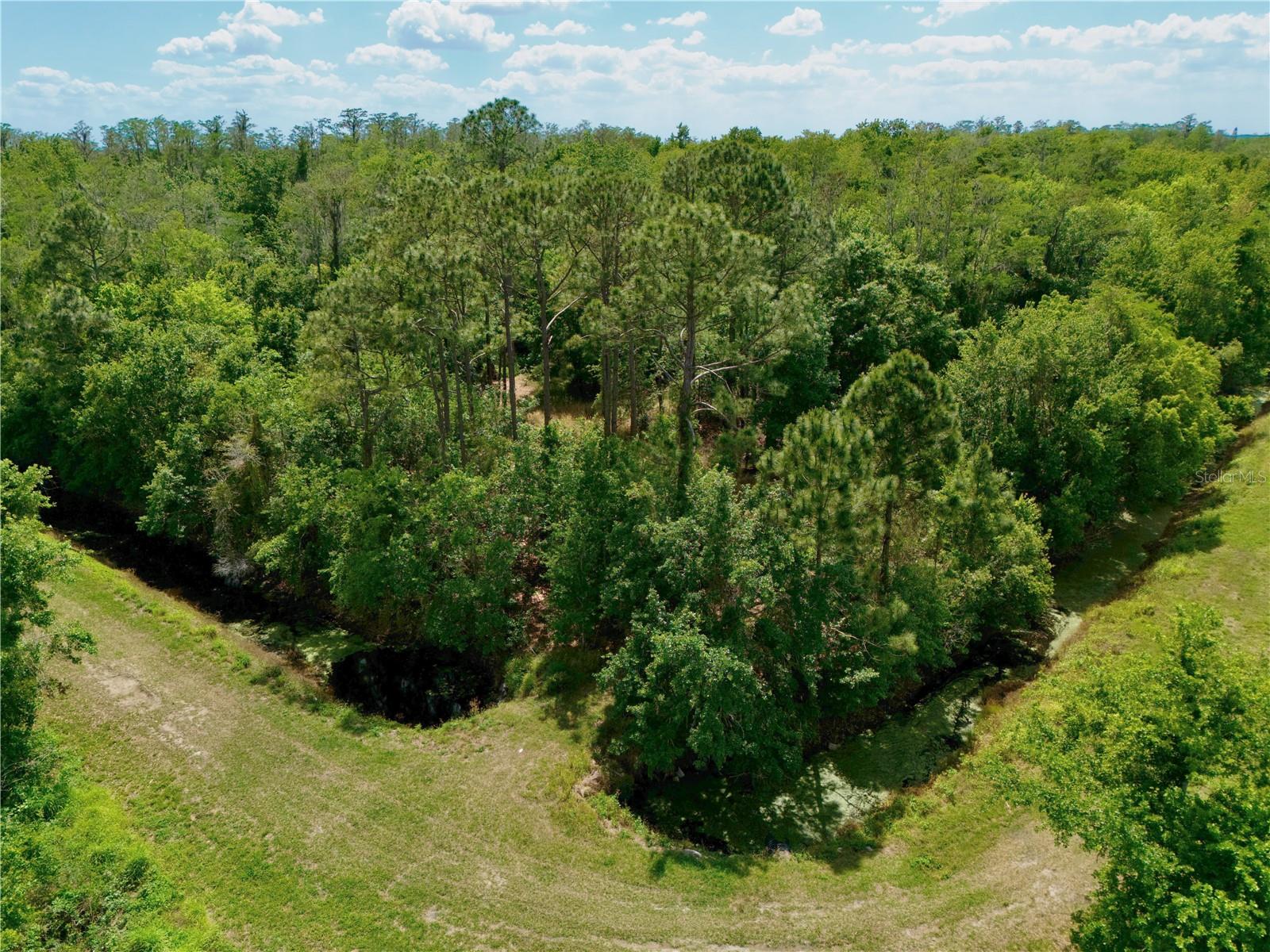 HICKORY TREE ROAD, ST CLOUD, FL, 34772