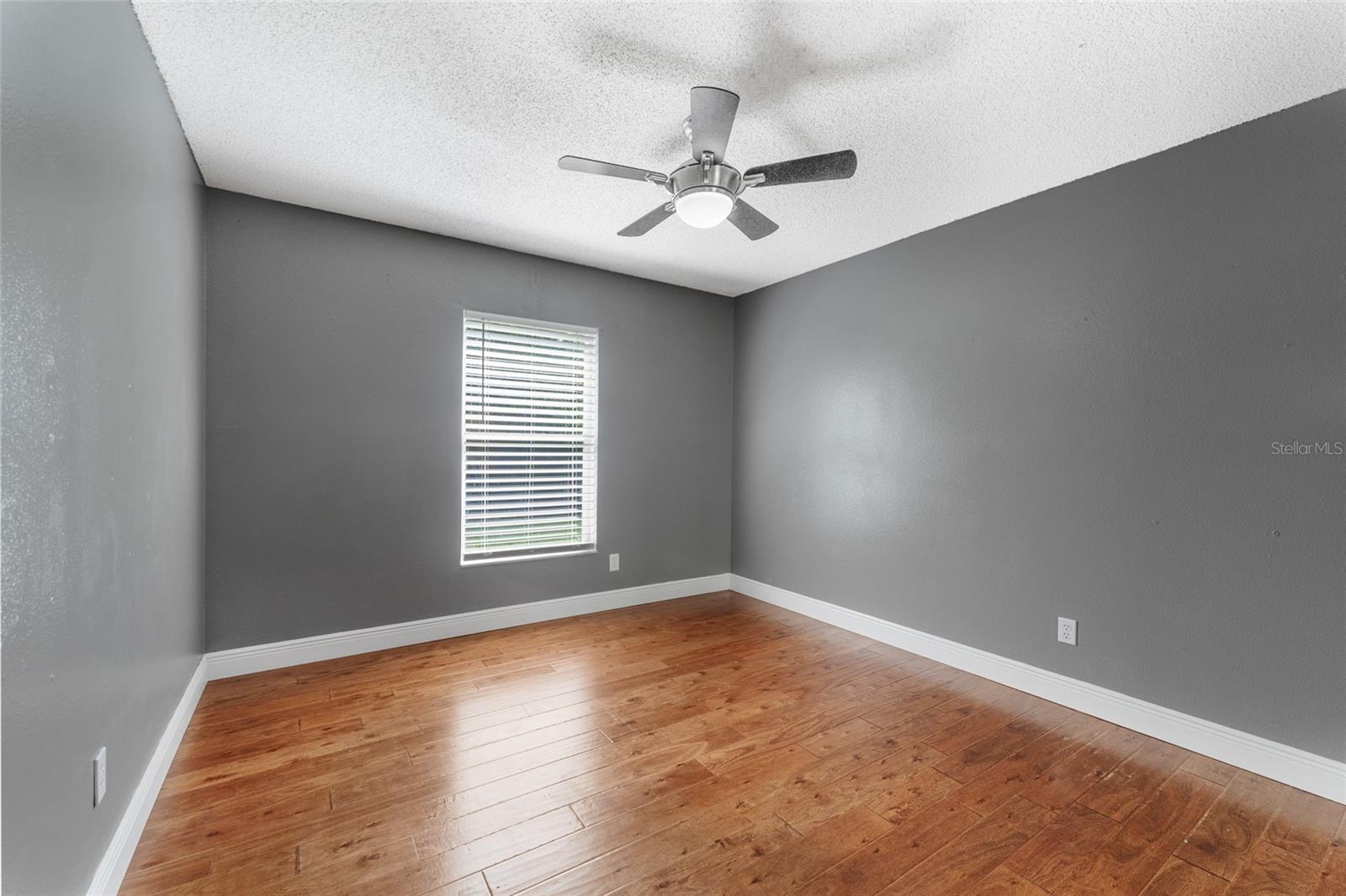 3710 BERGER RD, LUTZ, FL, 33548