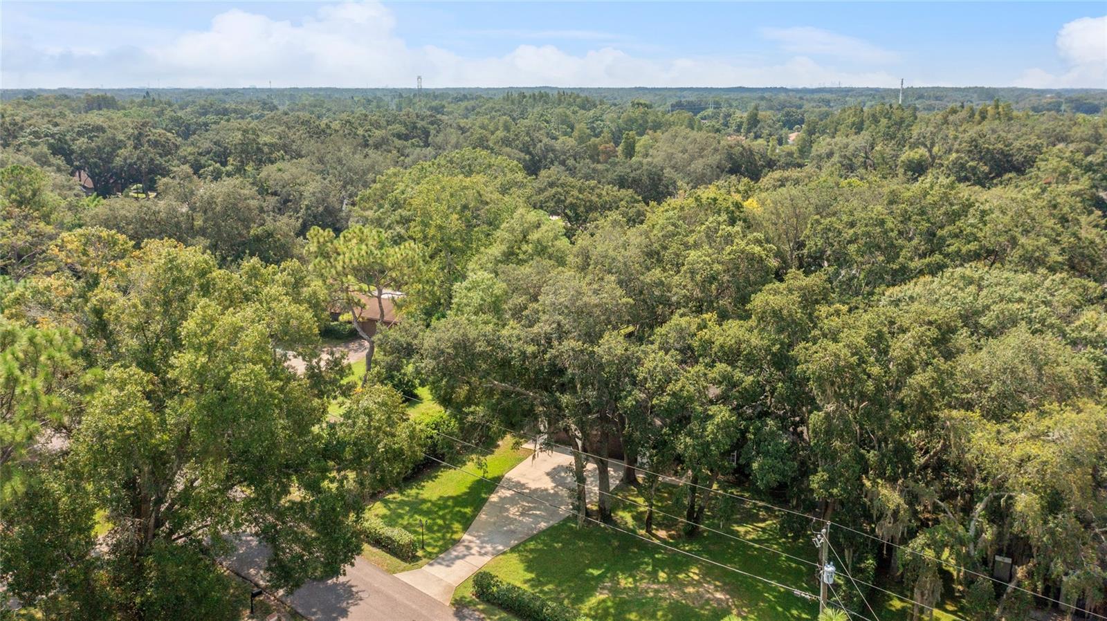 3710 BERGER RD, LUTZ, FL, 33548