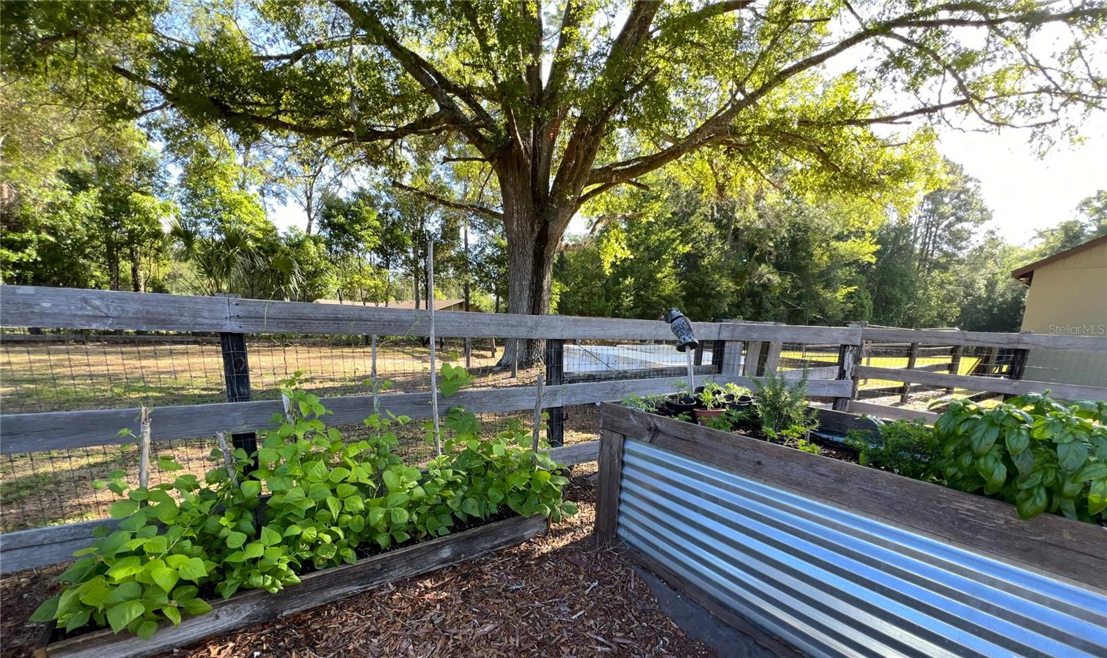 32510 WOLF BRANCH LN, SORRENTO, FL, 32776