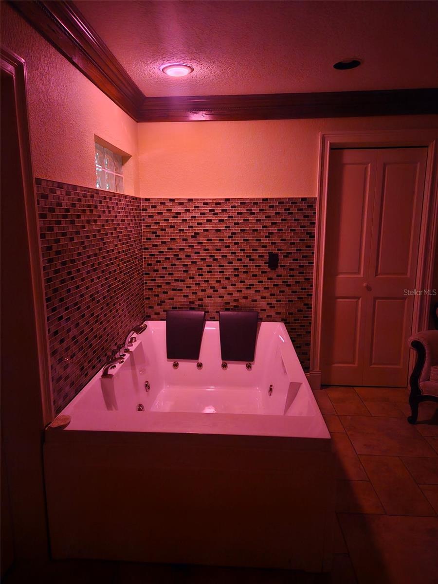 32510 WOLF BRANCH LN, SORRENTO, FL, 32776