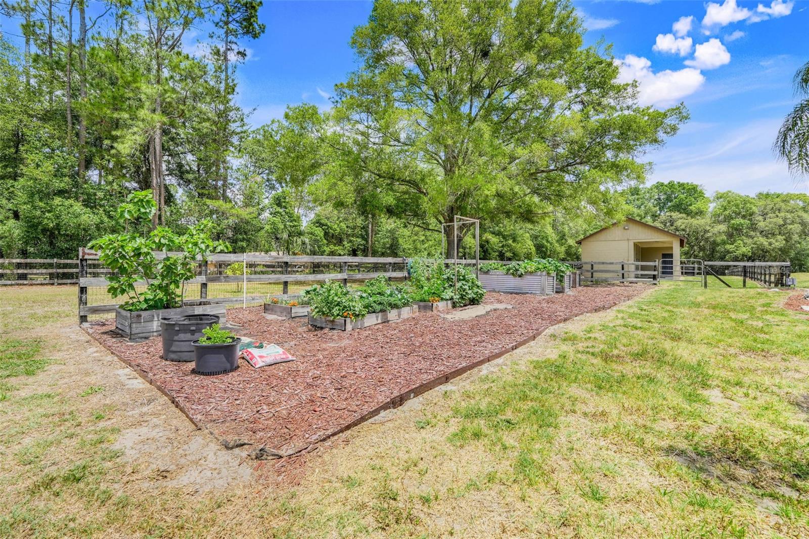 32510 WOLF BRANCH LN, SORRENTO, FL, 32776