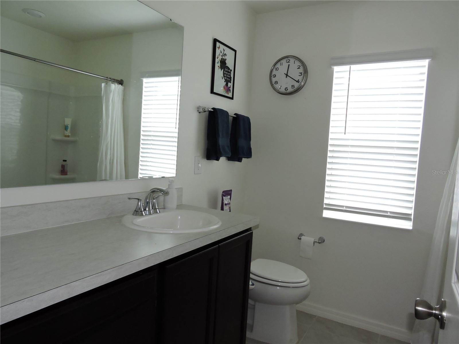 1566 GERANIUM DR, MASCOTTE, FL, 34753