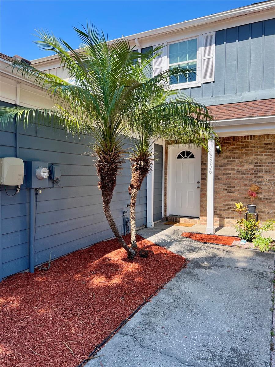 6256 OAK CLUSTER CIR, TAMPA, FL, 33634
