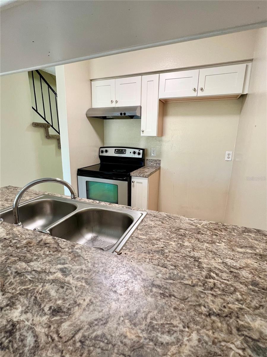 6256 OAK CLUSTER CIR, TAMPA, FL, 33634