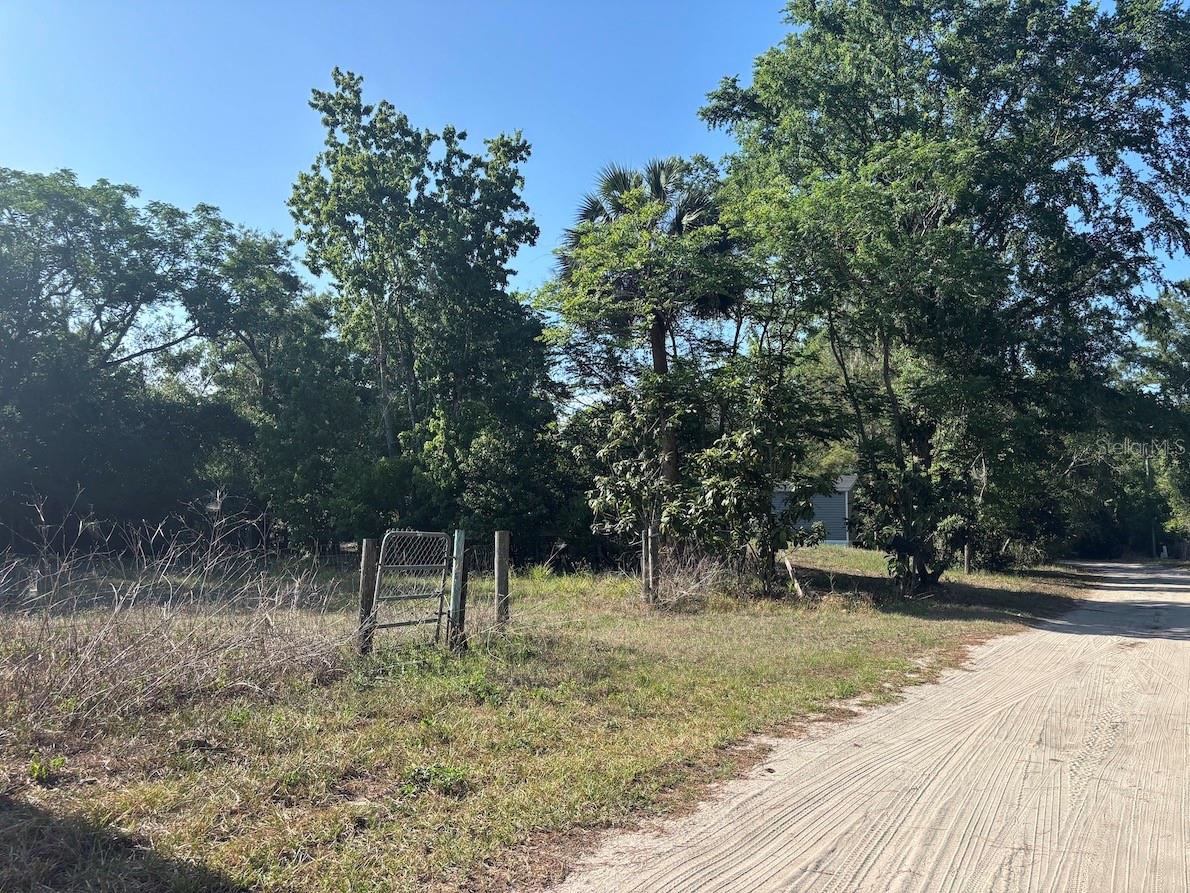 4336 NE 132ND CT, SILVER SPRINGS, FL, 34488