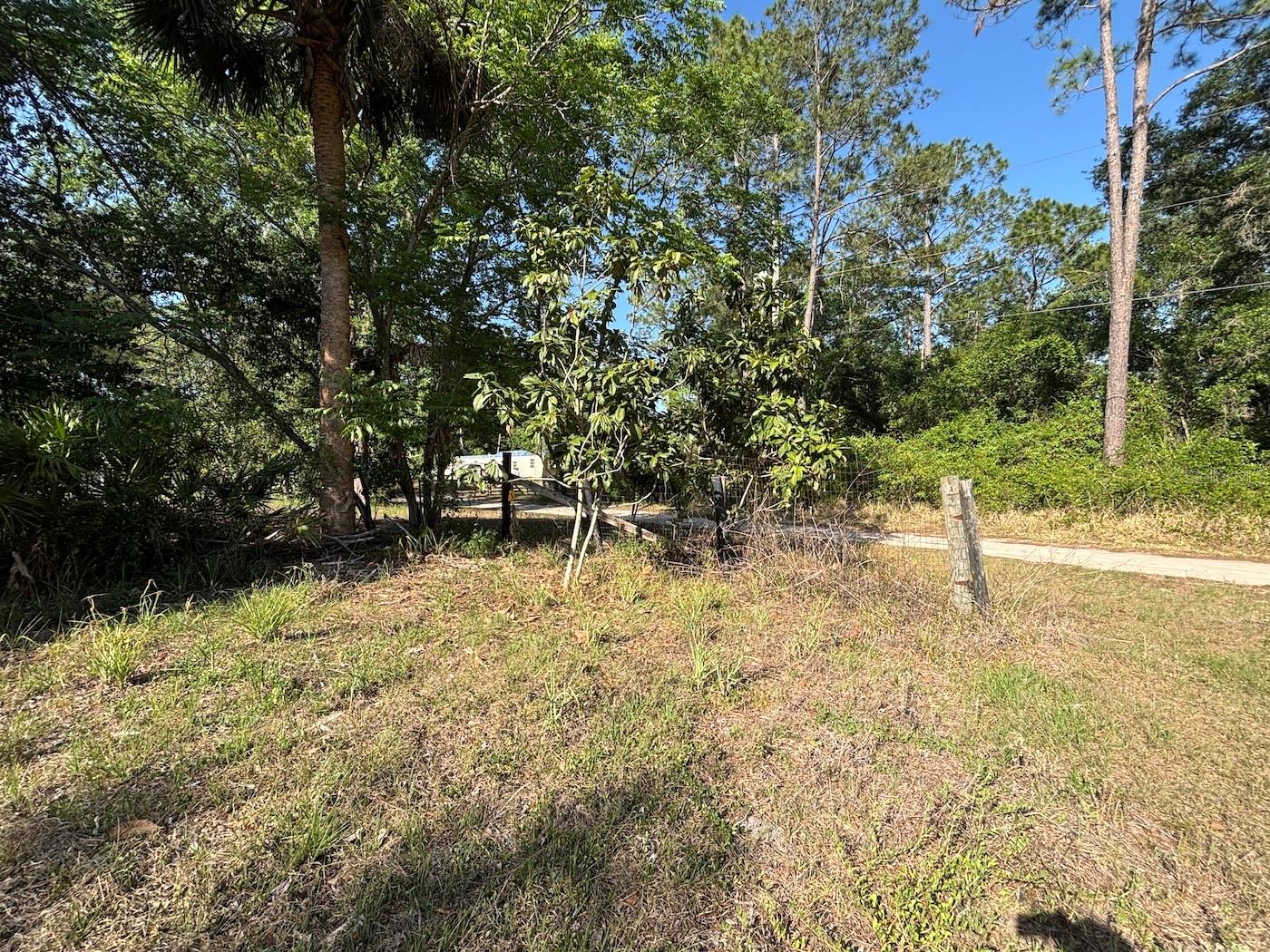 4336 NE 132ND CT, SILVER SPRINGS, FL, 34488