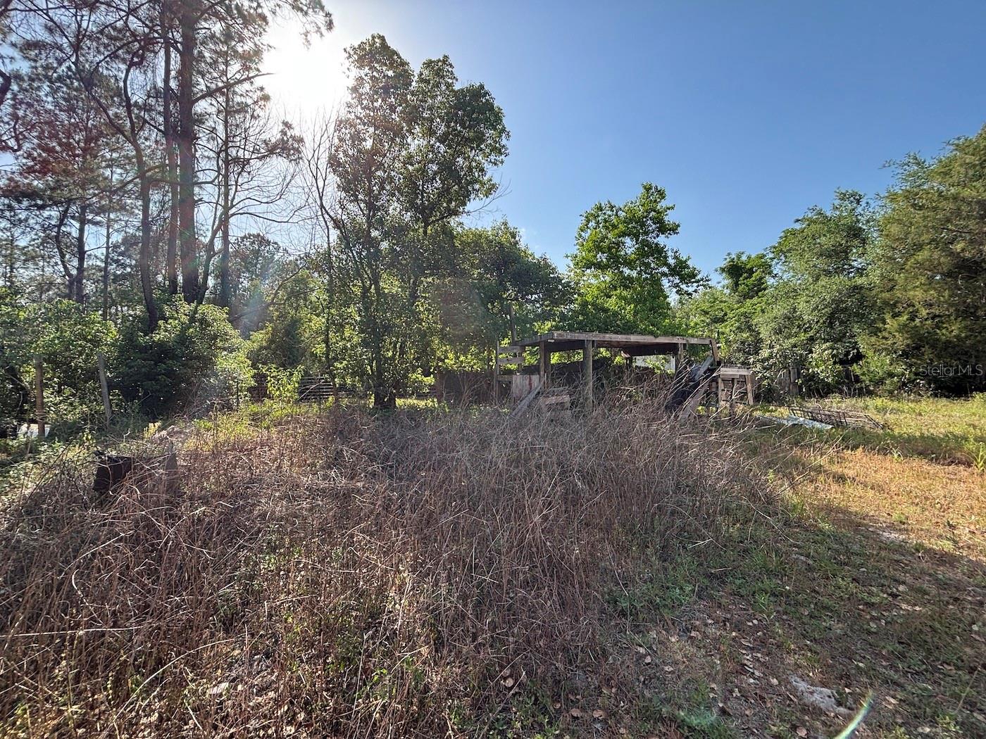 4336 NE 132ND CT, SILVER SPRINGS, FL, 34488