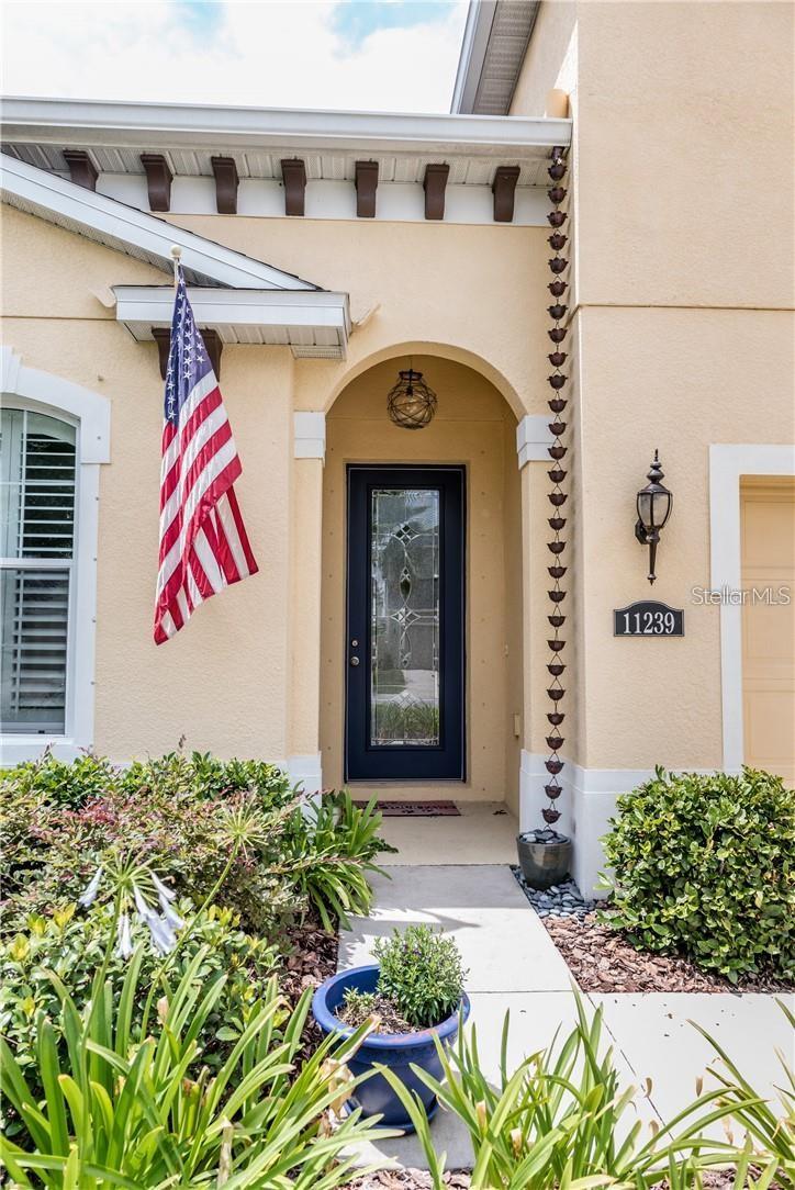 11239 SPRING POINT CIR, RIVERVIEW, FL, 33579