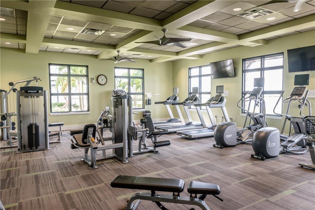 11239 SPRING POINT CIR, RIVERVIEW, FL, 33579