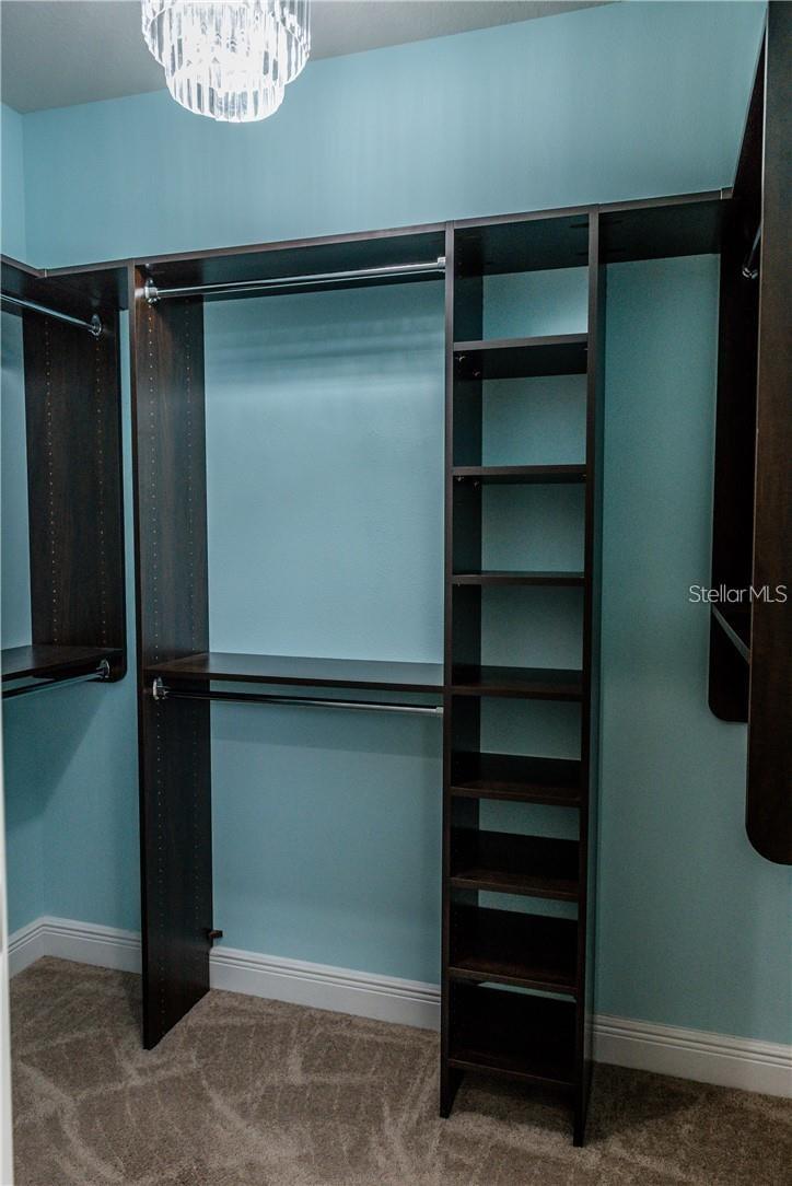 11239 SPRING POINT CIR, RIVERVIEW, FL, 33579