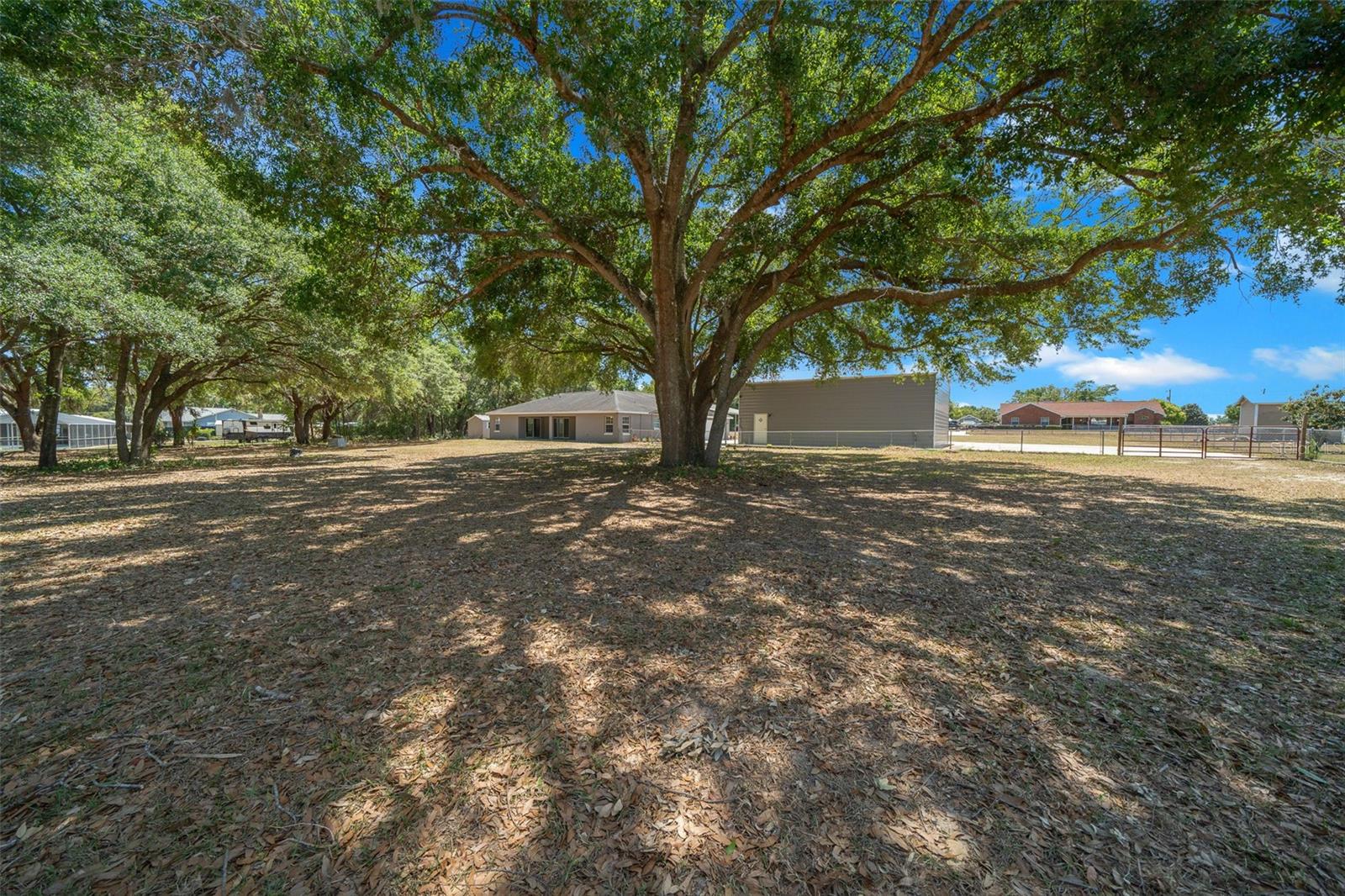 9885 SE 144TH ST, SUMMERFIELD, FL, 34491