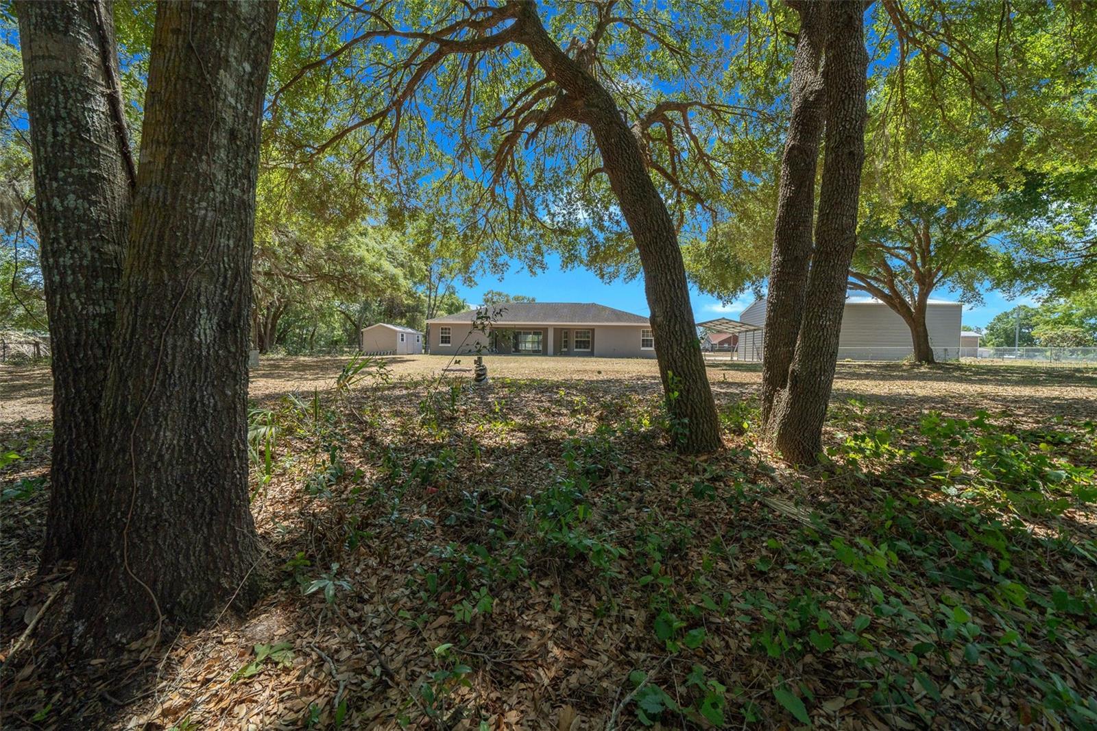 9885 SE 144TH ST, SUMMERFIELD, FL, 34491