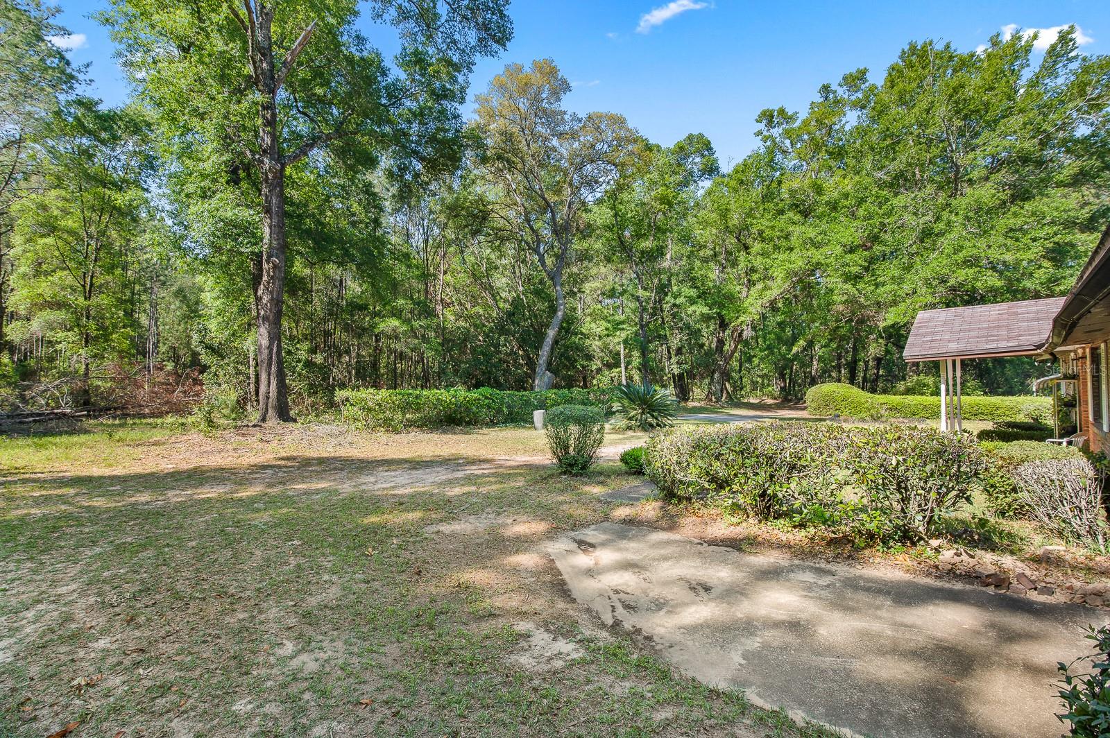 1231 SE OLD BELLAMY RD, HIGH SPRINGS, FL, 32643