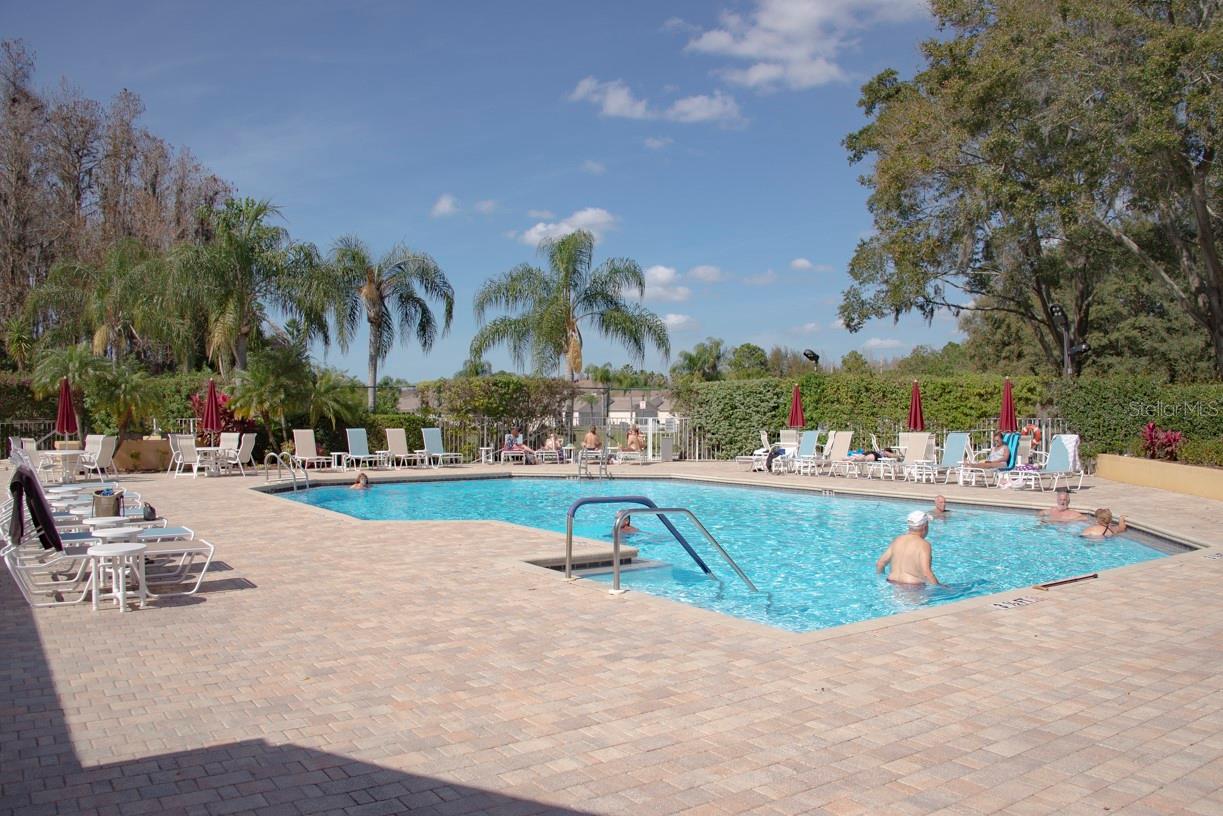 7828 HARDWICK #923, NEW PORT RICHEY, FL, 34653